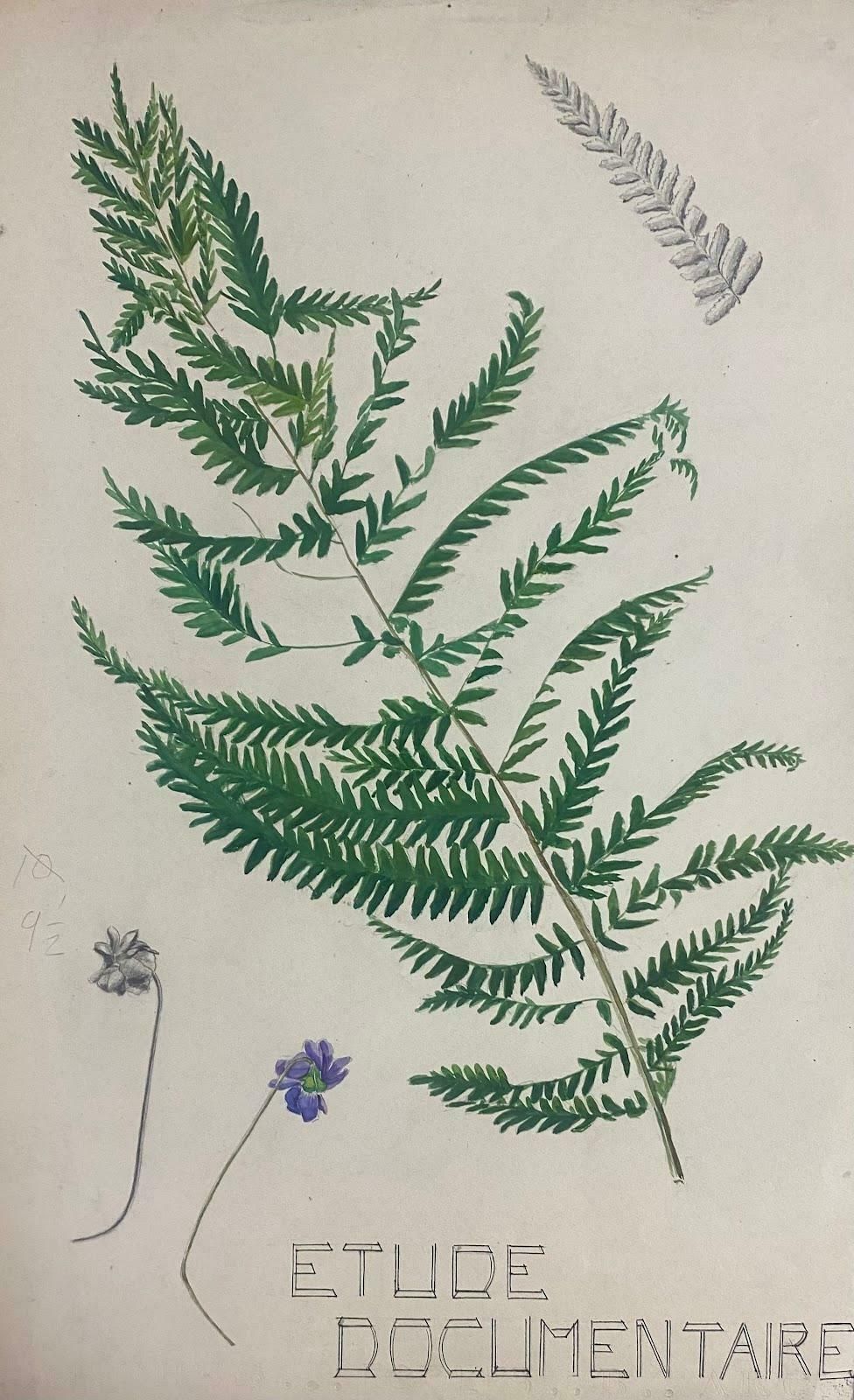 Josine Vignon1950s French Post Impressionist Watercolor Painting Of Ferns1950s