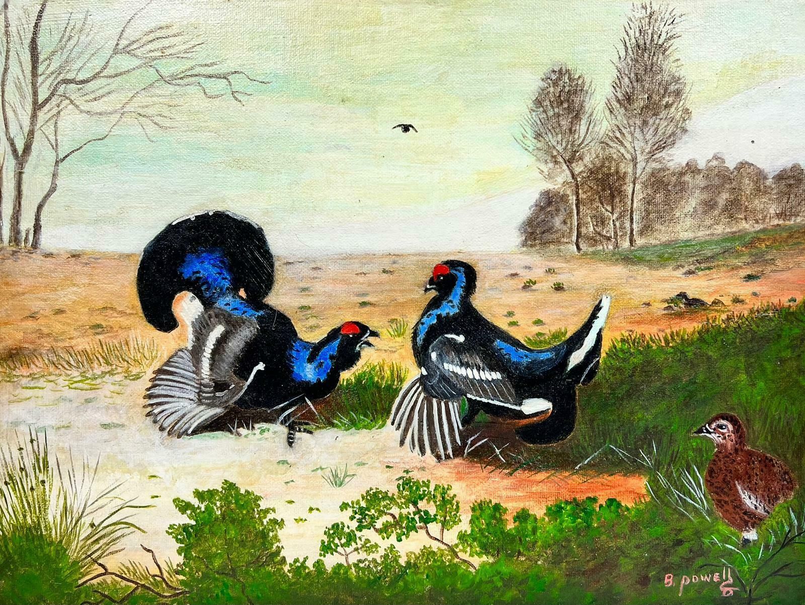 Ben Powellcontemporary British Acrylic Painting Capercaillie/ Grouse In Landscape