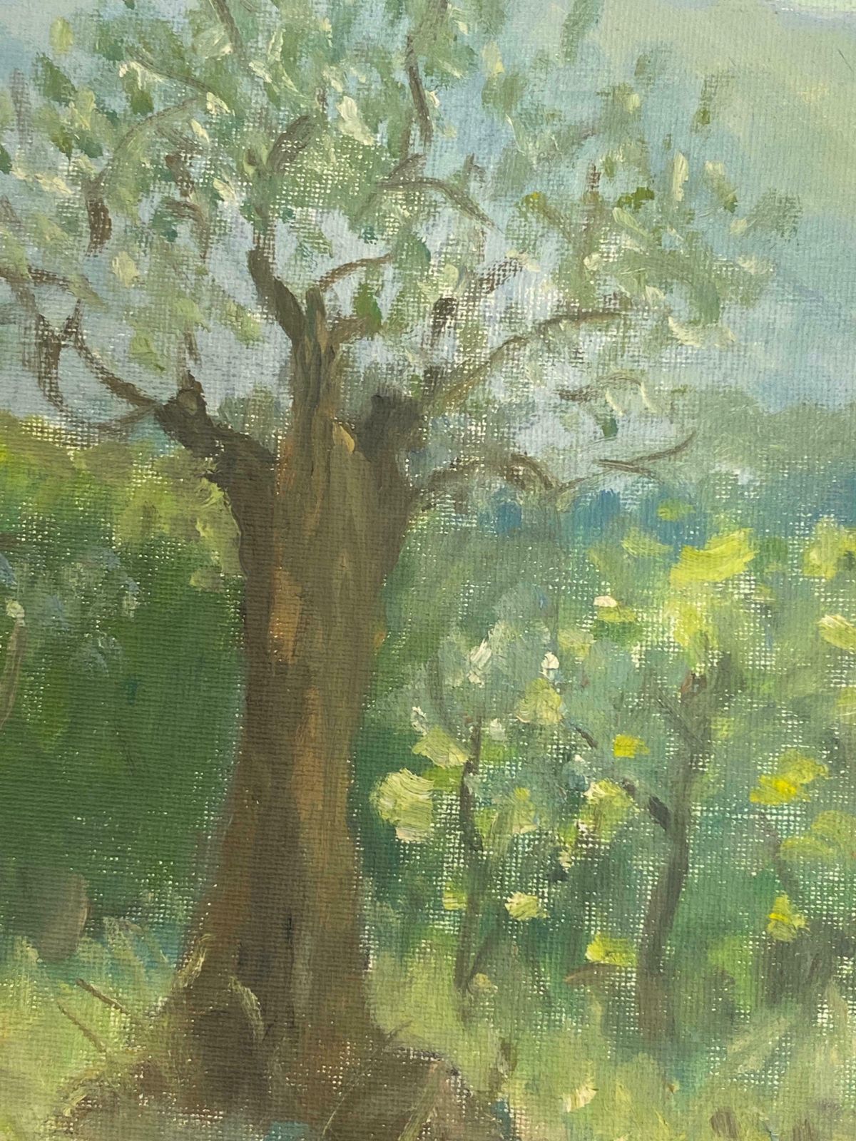 Rene Hutet20th Century French Impressionist Oil Golden Provence Landscape & Treemid Century photo for sale
