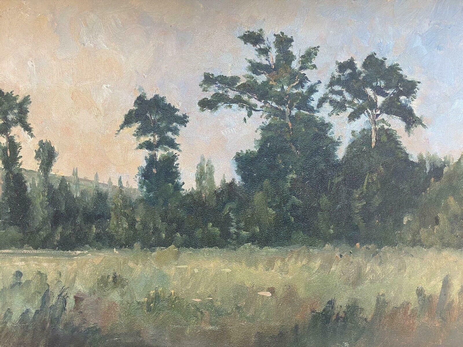 Charles Curtelin (French 1859 1912charles Curtelin (French 1859 1912) En Plein Air Impressionist Oil   Woodlandc. 1890's