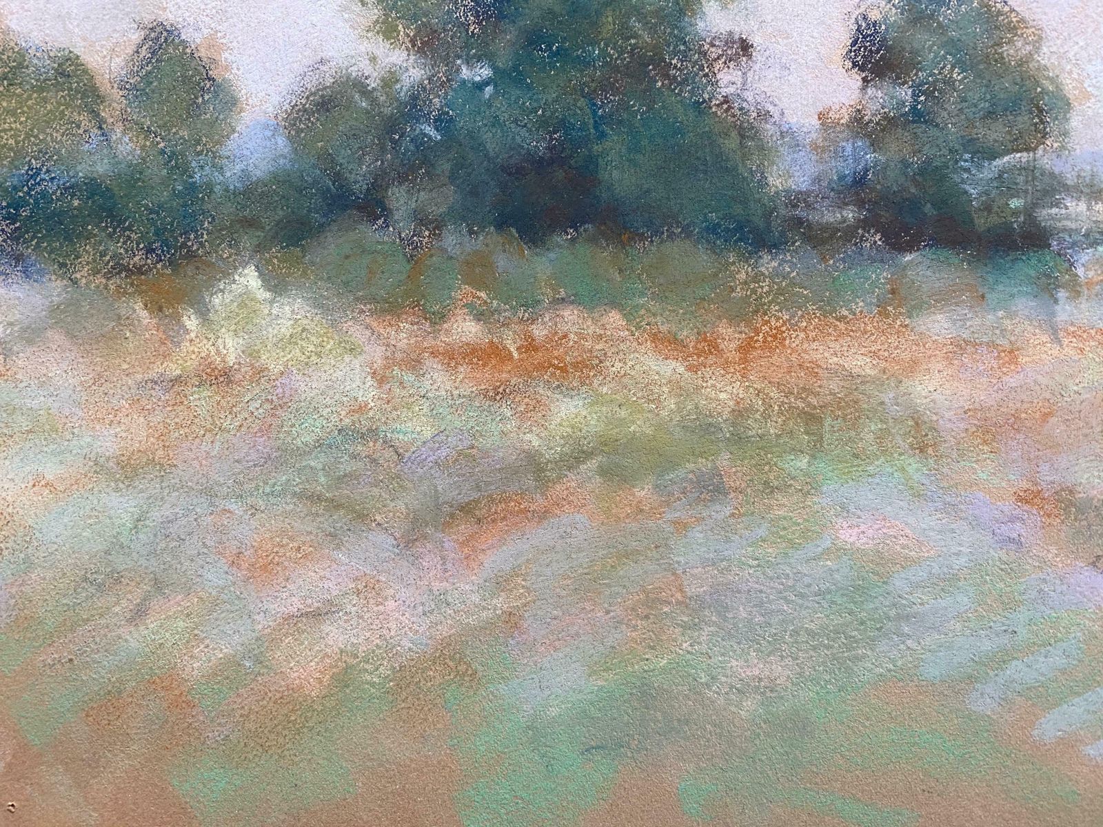 Camille Meriotcamille Meriot French Impressionist Pastel   Green Countryside Fieldsc. 1940's photo vinterior