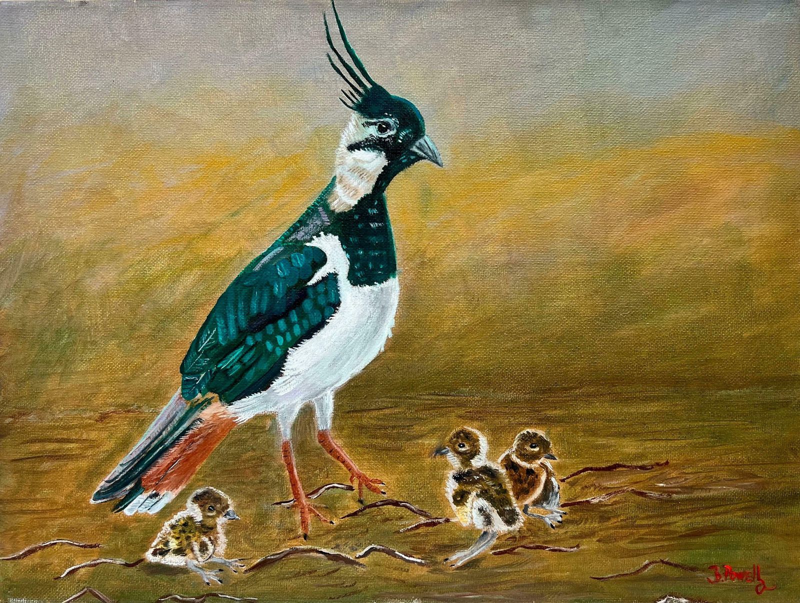 Ben Powellcontemporary British Painting Bird With 3 Chicks