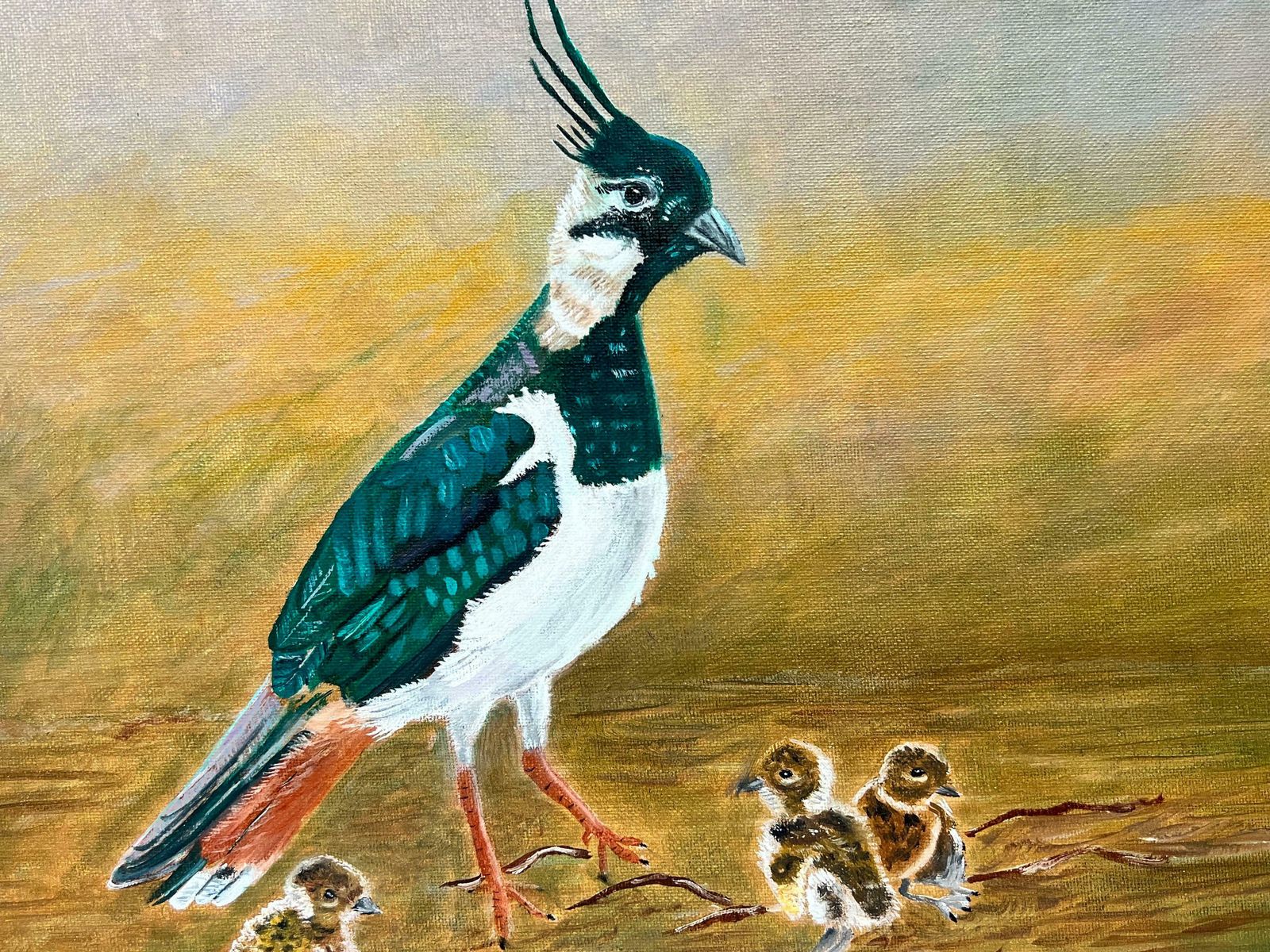 Ben Powellcontemporary British Painting Bird With 3 Chicks photo Art