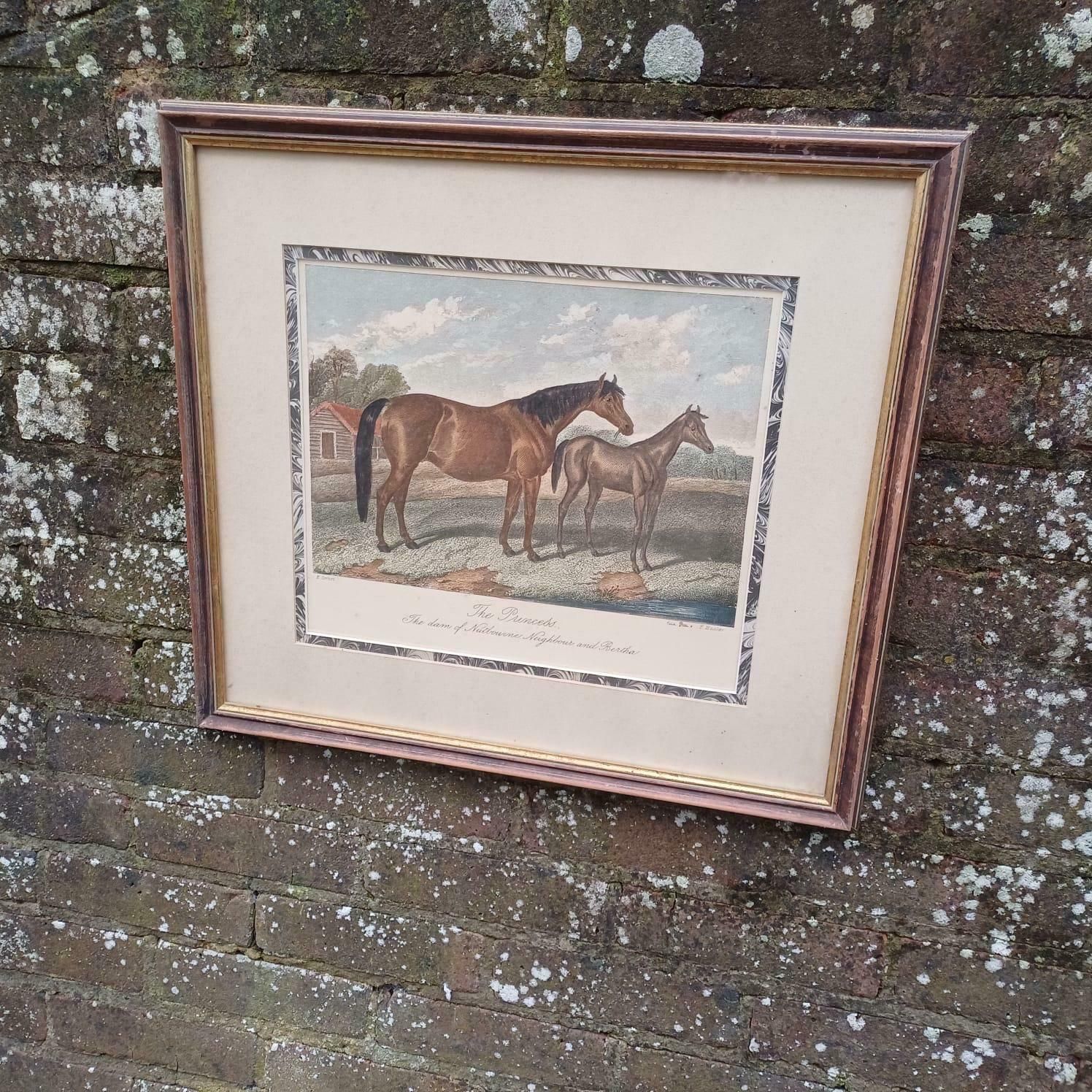 The Princess Race Horse Print By E Corbet, 1862 Lithograph, "The Dam Of Nutbourne, Neighbour And Bertha", Early 1900s Framed Print photo vinterior