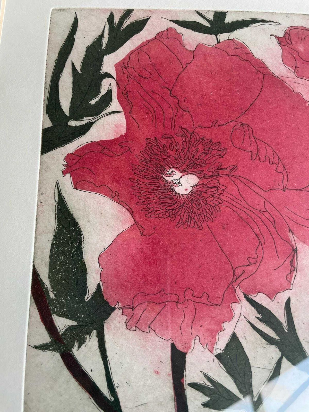 Cliona Doyle Framed Art Etching Print Of Paeony 2 Red Green Floral Thin Green Frame photo vintage