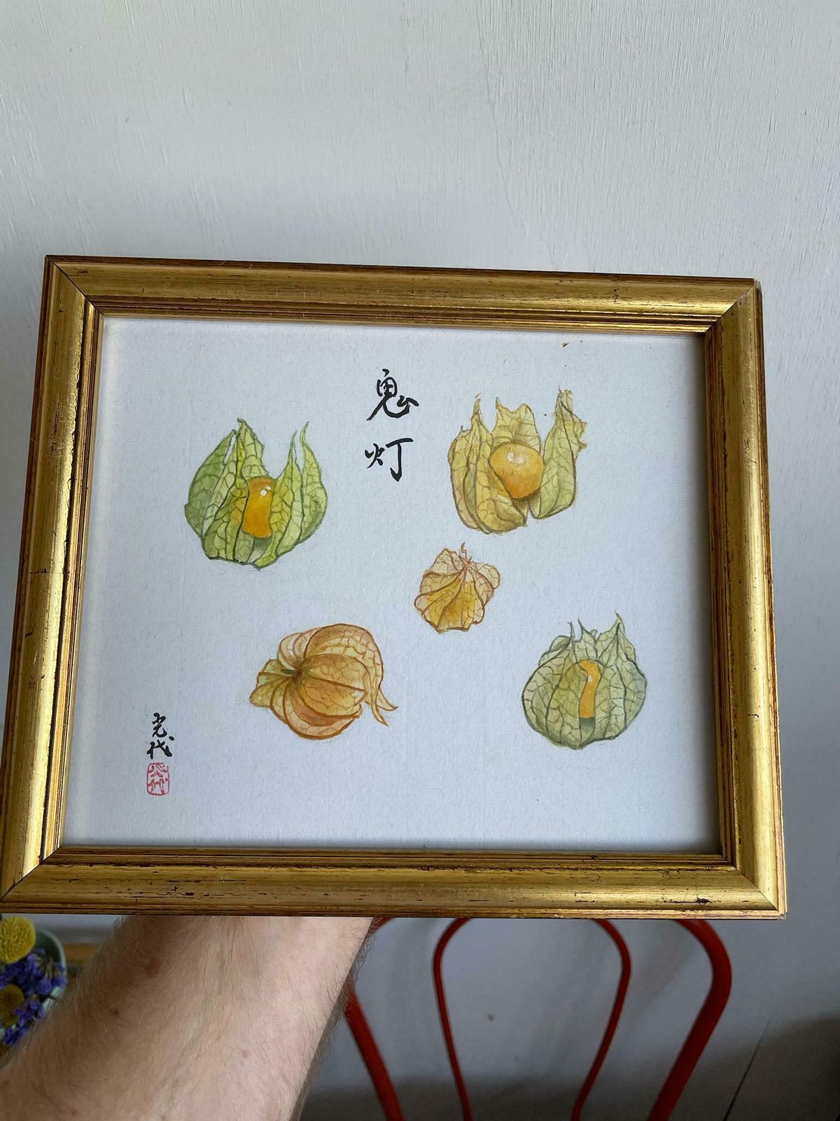 Beautiful Small Watercolour And Ink Painting Of Physalis Or Chinese Lanterns Art Piece In Gold Frame photo Art