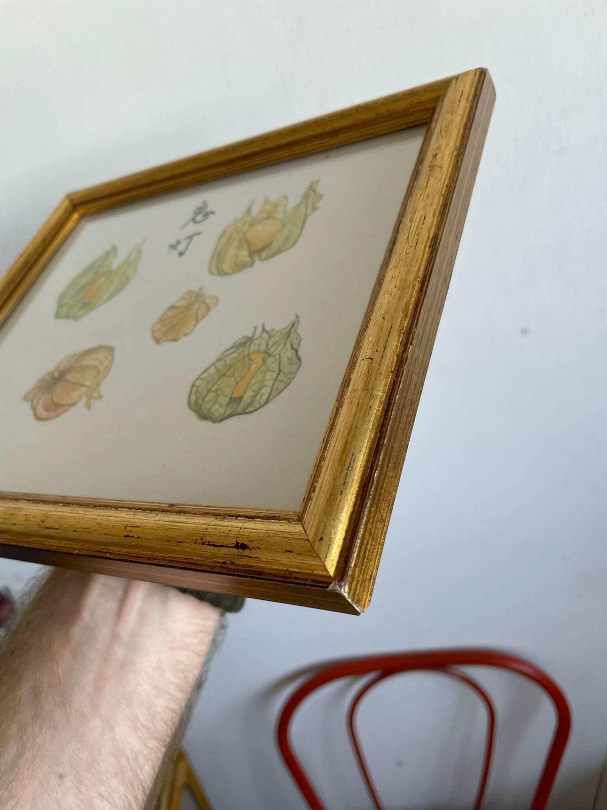 Beautiful Small Watercolour And Ink Painting Of Physalis Or Chinese Lanterns Art Piece In Gold Frame photo 75.0