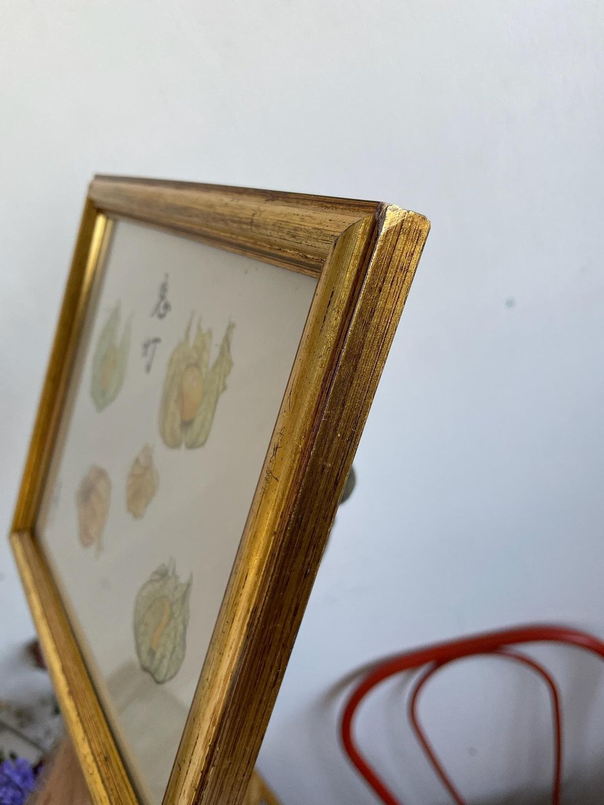 Beautiful Small Watercolour And Ink Painting Of Physalis Or Chinese Lanterns Art Piece In Gold Frame photo vinterior