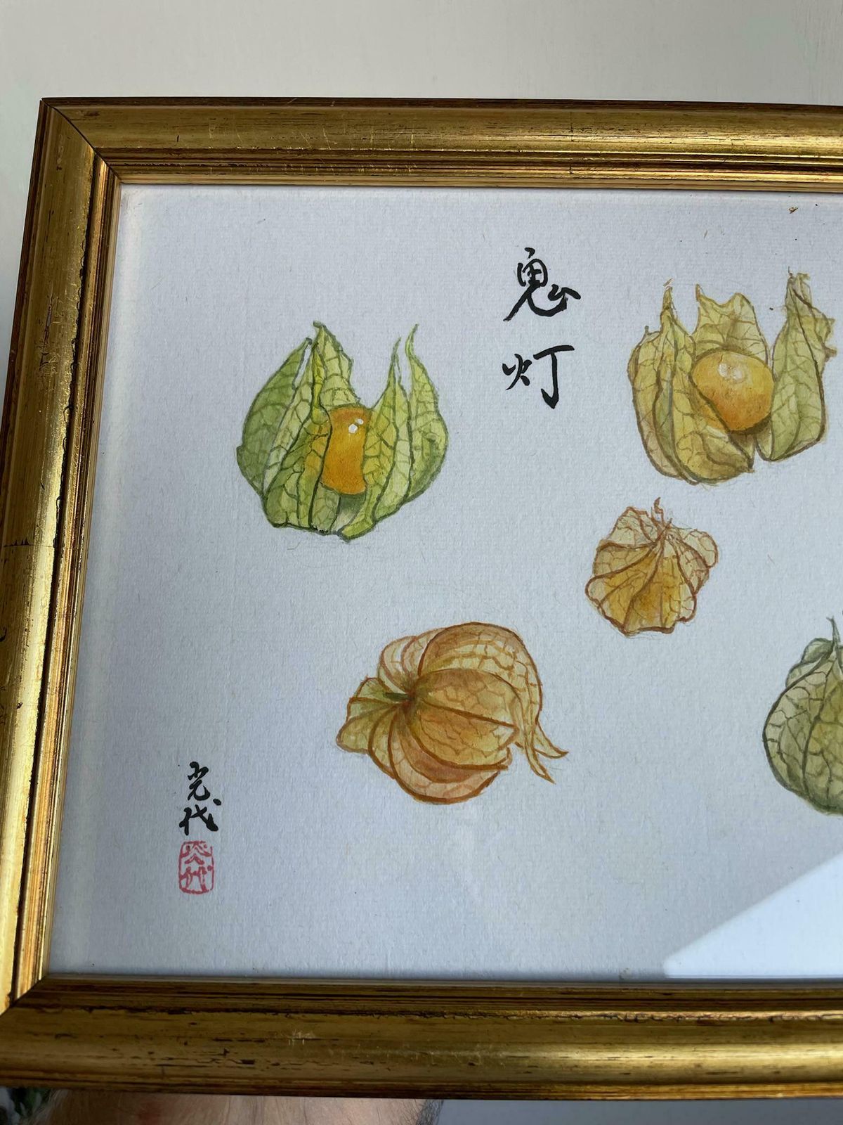 Beautiful Small Watercolour And Ink Painting Of Physalis Or Chinese Lanterns Art Piece In Gold Frame photo buy