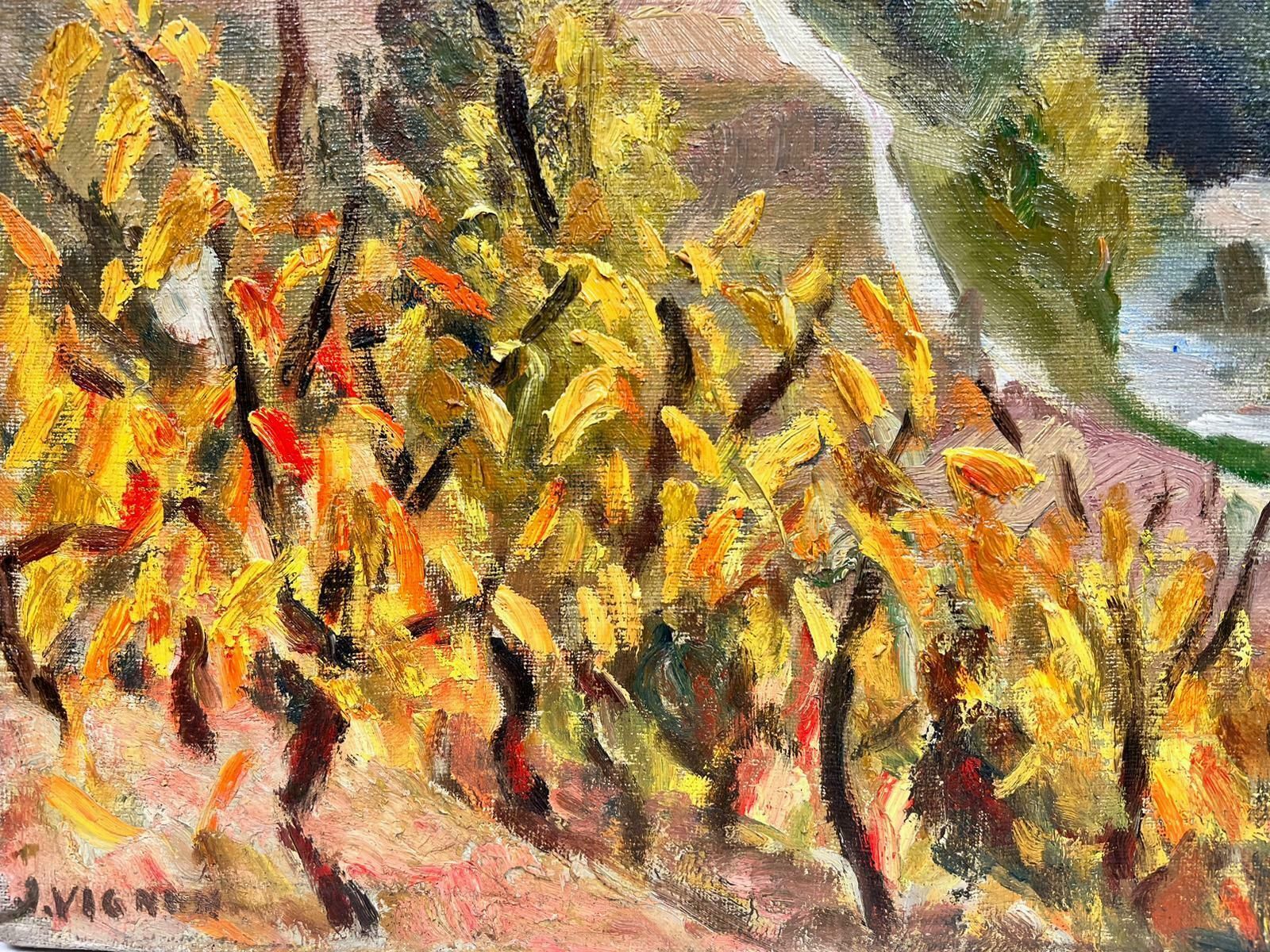 Josine Vignonautumnal Cergnes Stream Landscape French Post Impressionist Signed Oil 1960's photo for sale