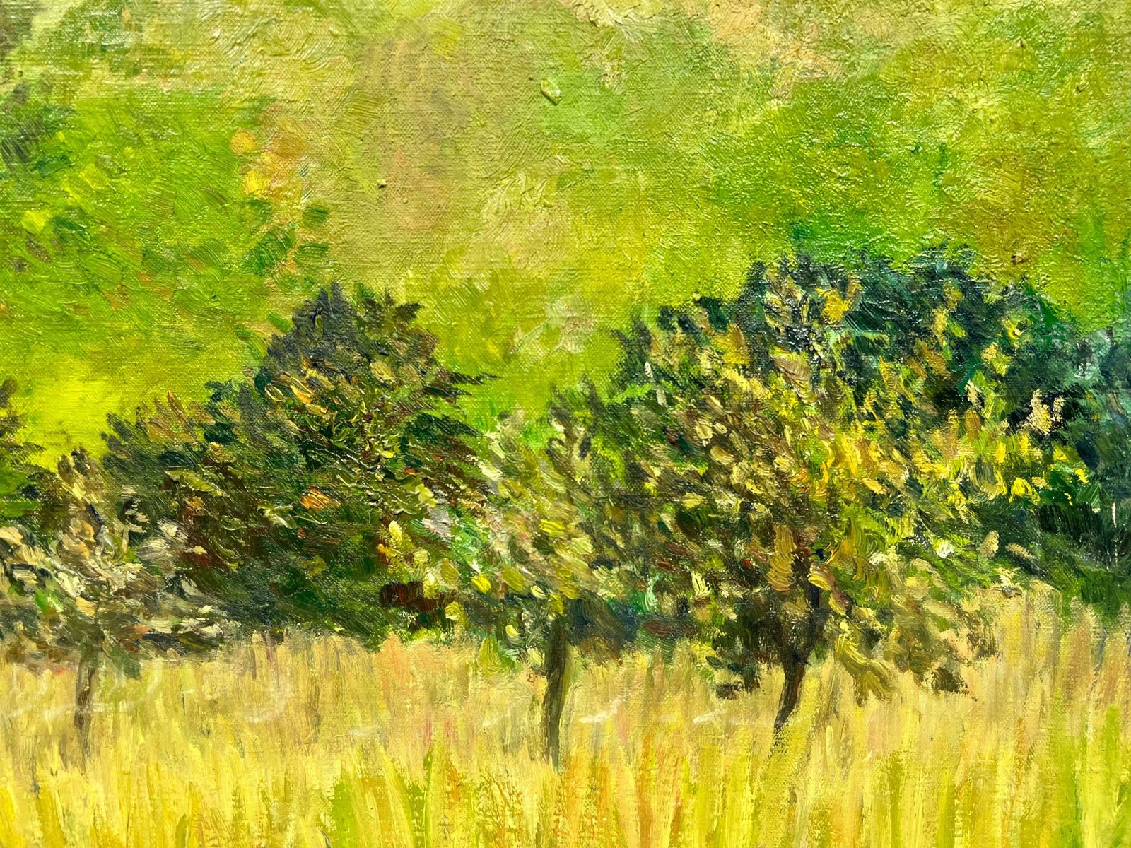 Josine Vignon1950's French Post Impressionist Signed Oil Green Landscape & Fields1960's photo for sale