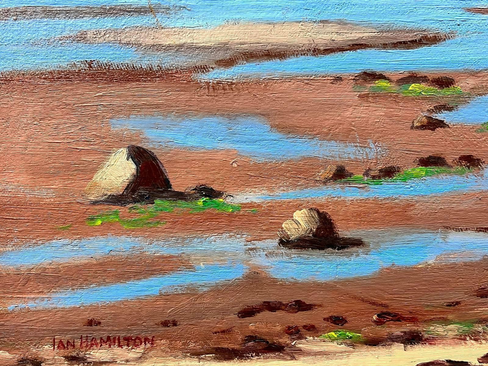Ian Hamiltonthe Outer Hebrides Superb Scottish Oil Painting, Beach & Coastal Seascape photo Art
