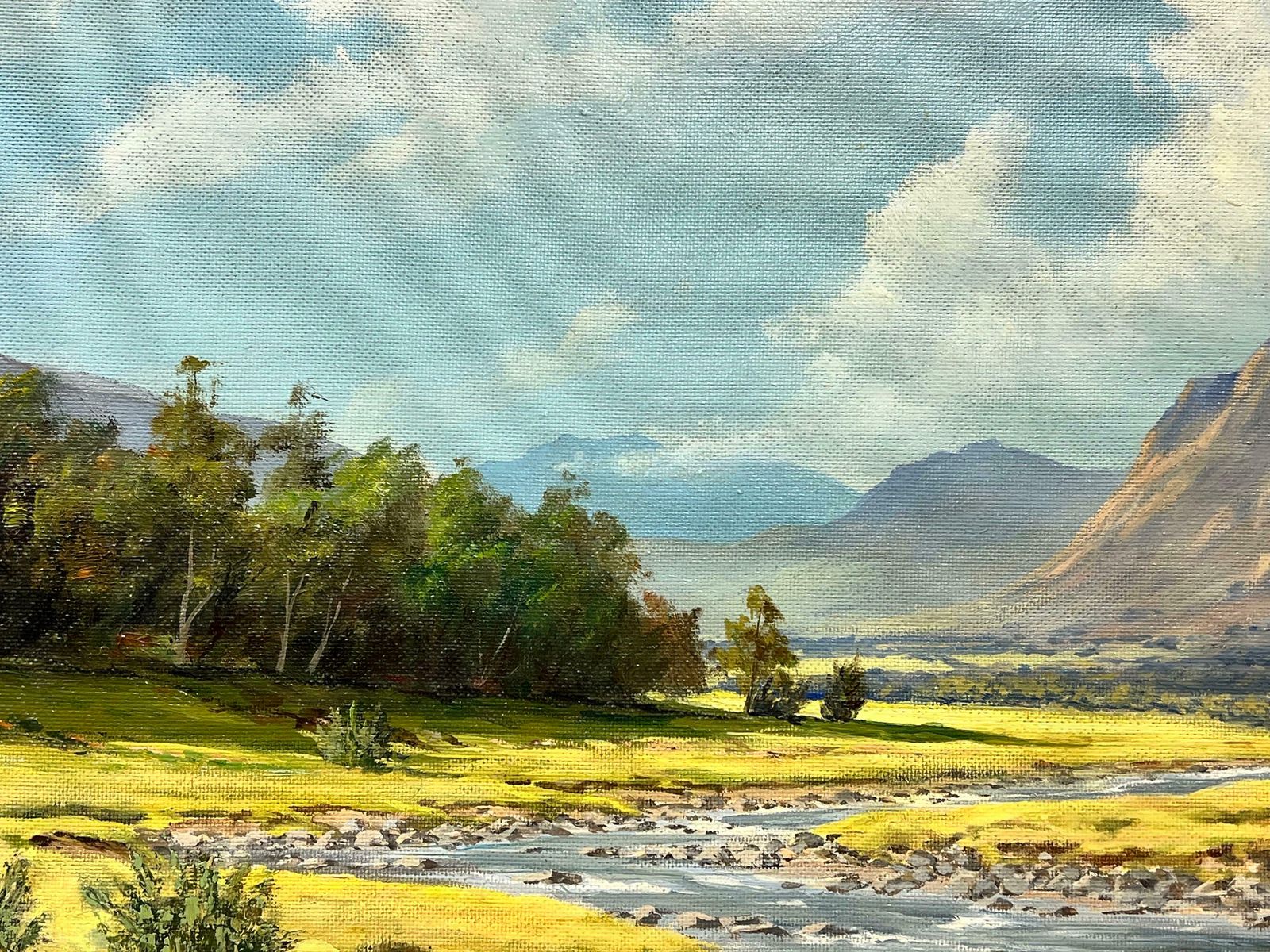 Mcdonaldsigned Scottish Oil Sunny Highland River Landscape In Summer, Framed Original photo 1023.0