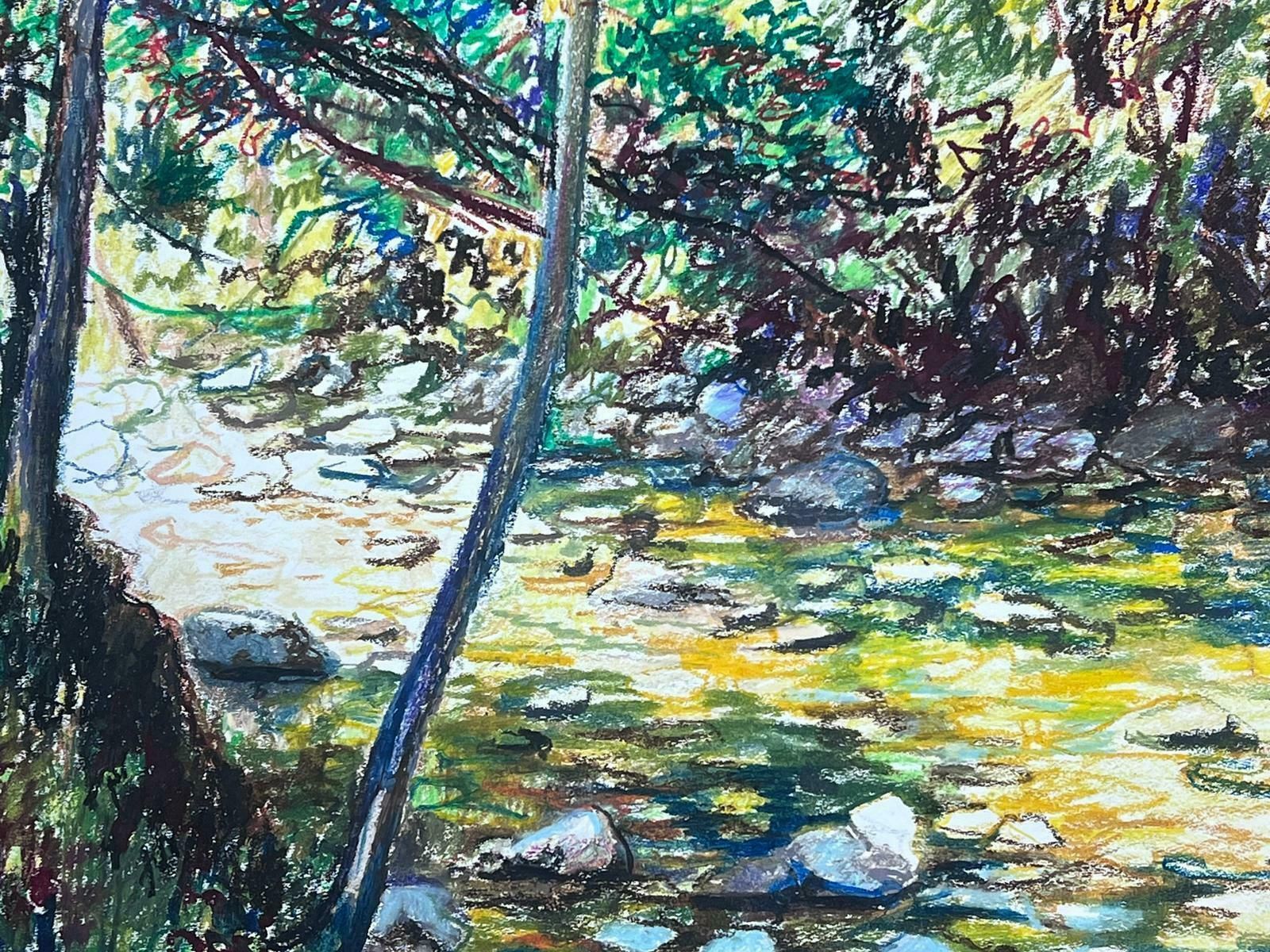 Josine Vignonmid Century French Original Pastel Painting A Summers Stream1950s photo 1023.0