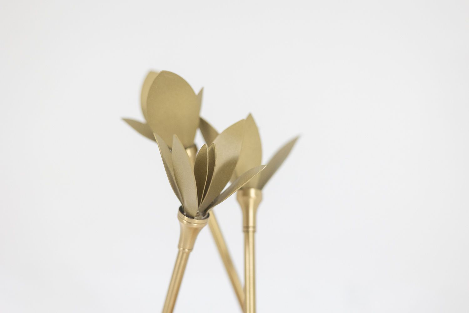 Napkin Holder In Matt Gold Brass With Its Wooden Base. Contemporary. photo furniture