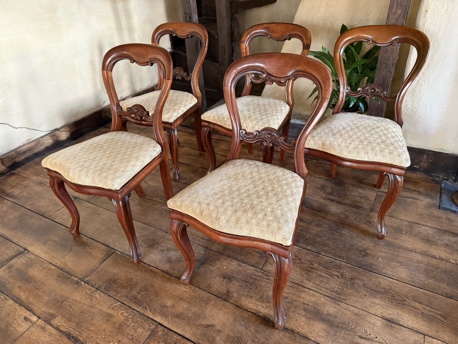 Antique Mahogany Victorian Drop In Balloon Back Diner Dining Chairs C1800's  X 5 photo buy