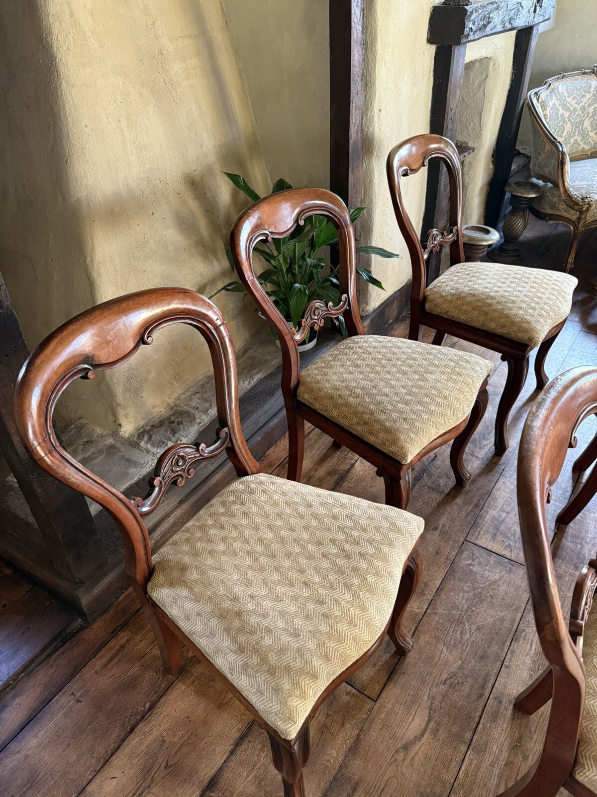 photo furniture Antique Mahogany Victorian Drop In Balloon Back Diner Dining Chairs C1800's  X 5