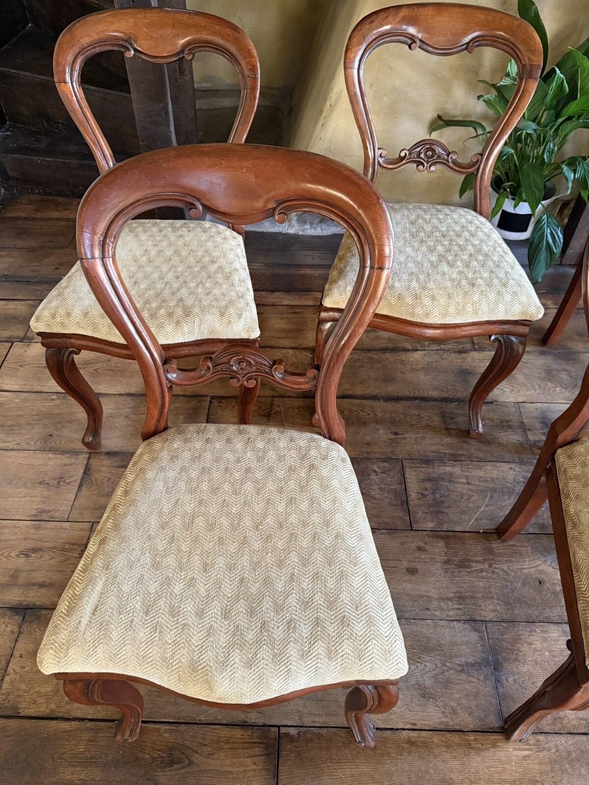 photo for sale Antique Mahogany Victorian Drop In Balloon Back Diner Dining Chairs C1800's  X 5