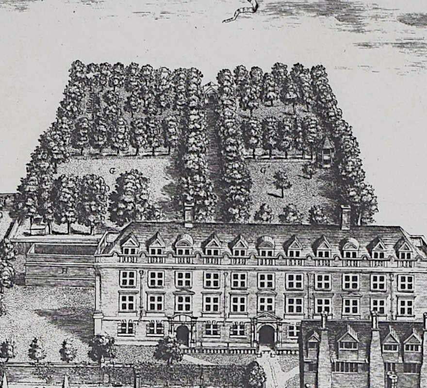Pieter Van Der Aa, Christ's College, Cambridge, Engraving After David Loggan, 1727 photo Art