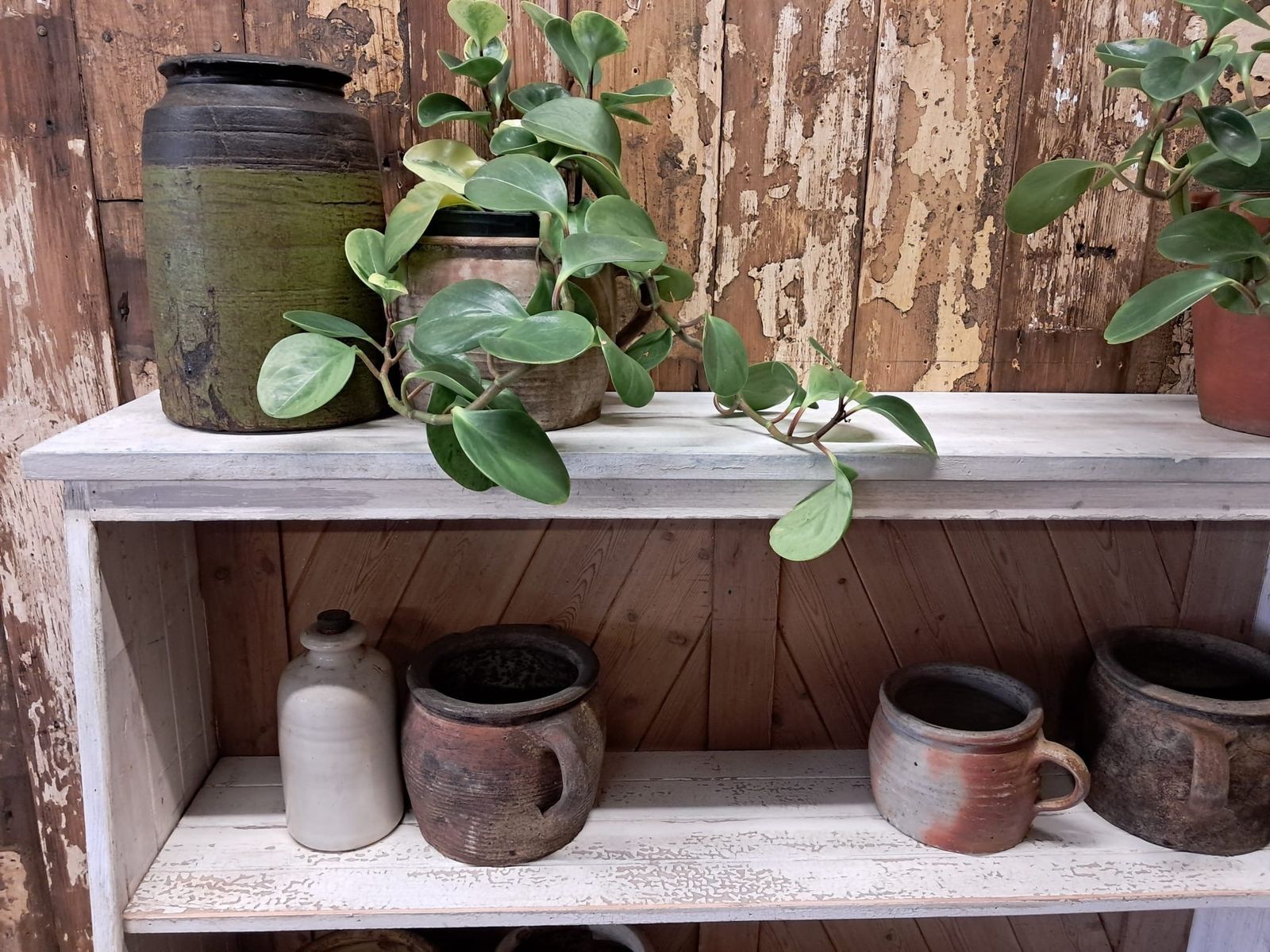 Rustic Shelving Unit photo furniture