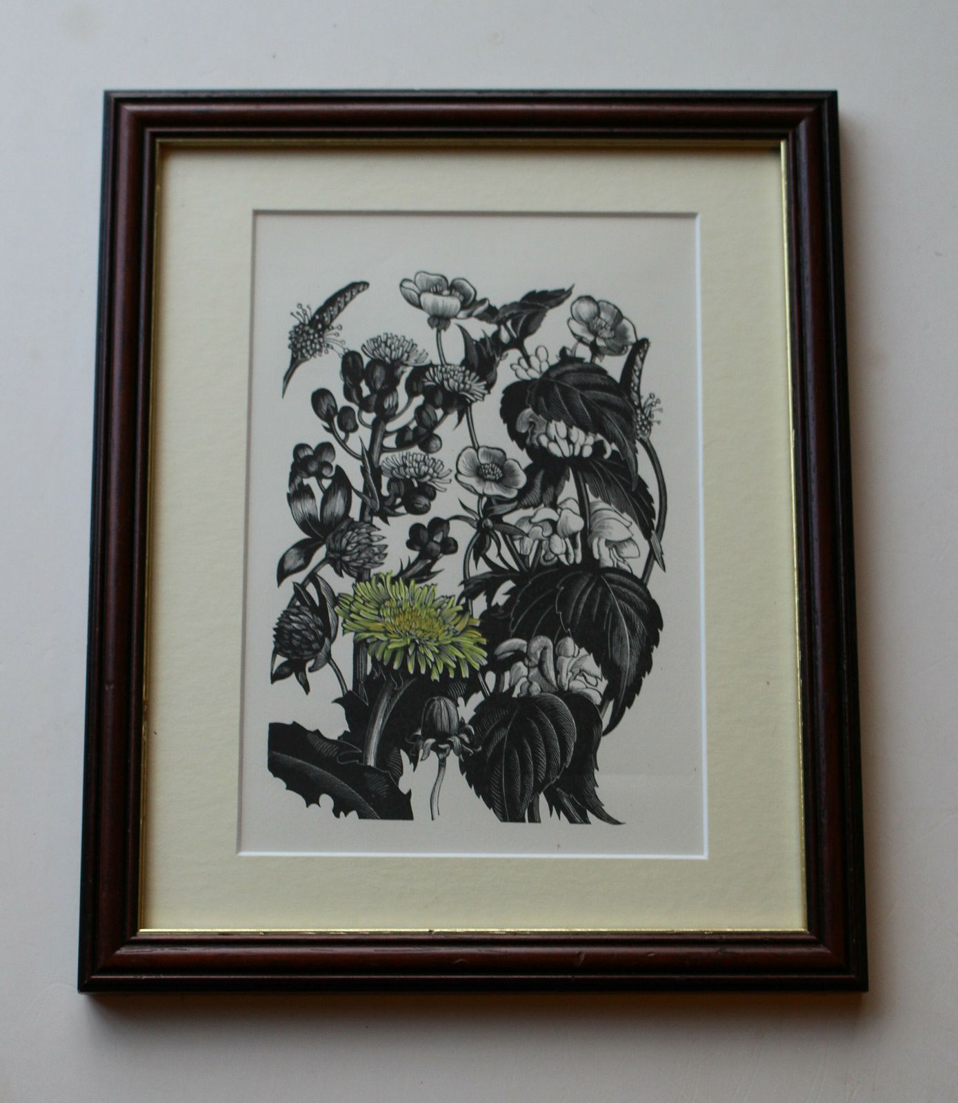 A Fine Lithograph Print From A Woodblock Engraving Titled ‘Weeds’ By Clare Leighton