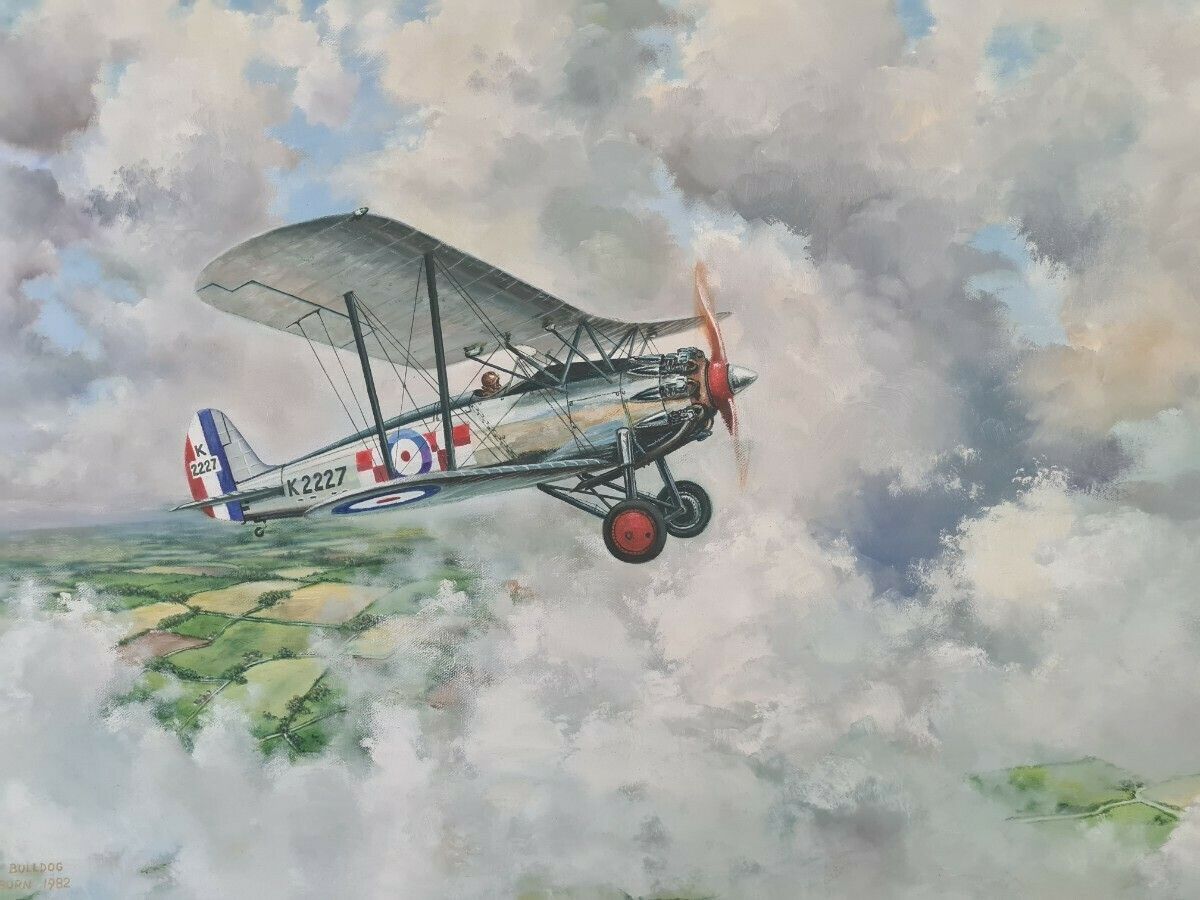 Painting Of A Bristol Bulldog By Bill Cockburn photo for sale