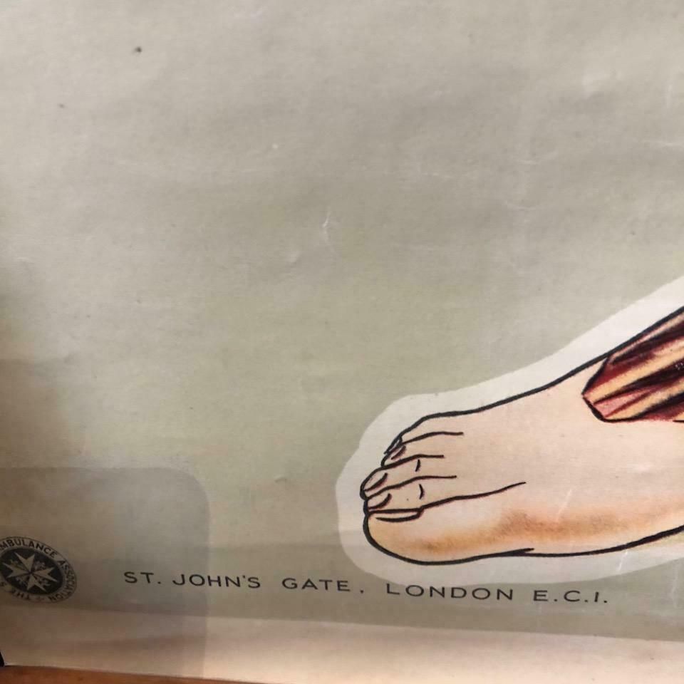 A St John's Ambulance General Anatomy Poster Signed J. Teck, Circa 1940 photo for sale