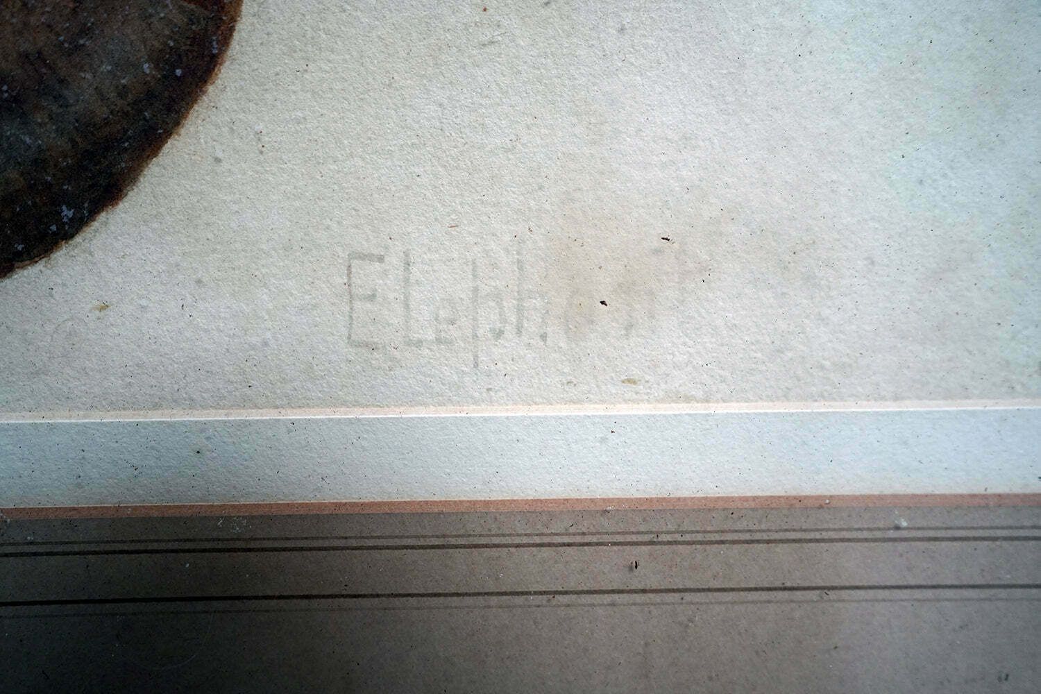 photo buy Helena J Maguire (British, 1860 1909); 'Elephant', Watercolour C.1900 07