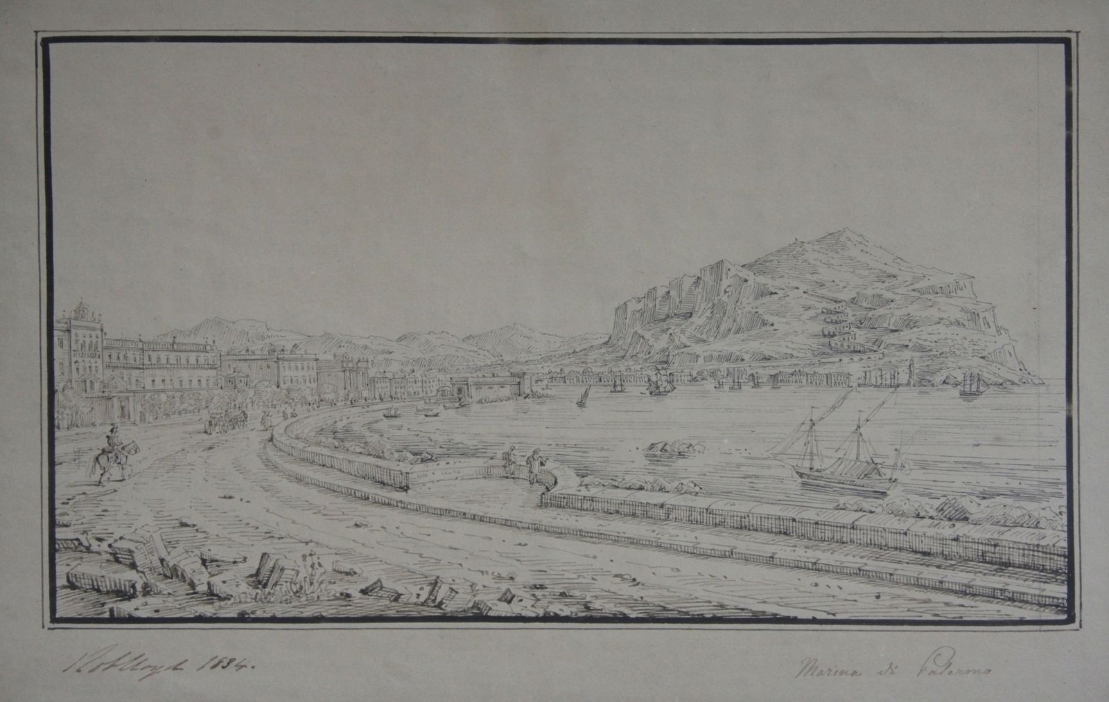 Senape: Marina Di Palermo