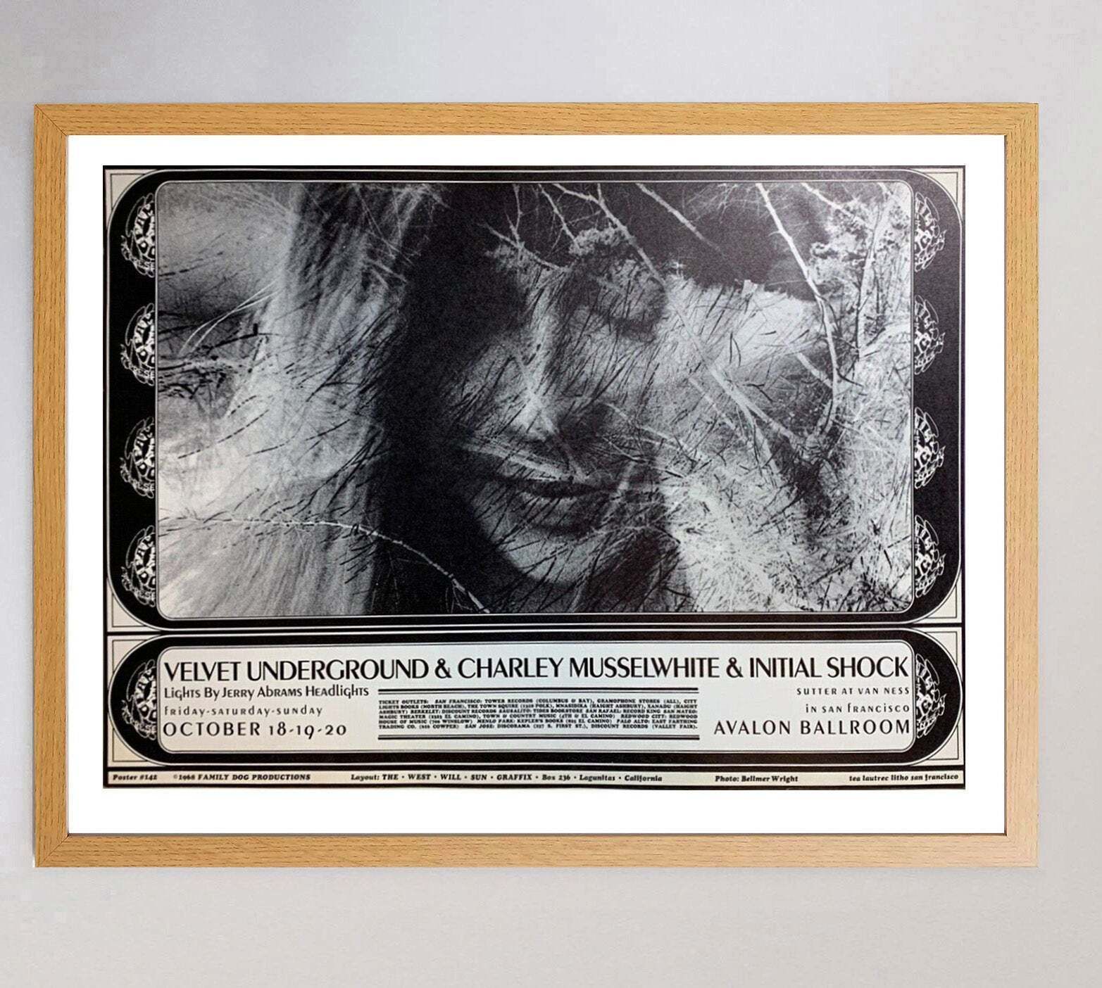 The Velvet Underground   Avalon Ballroom Original Vintage Poster photo Art