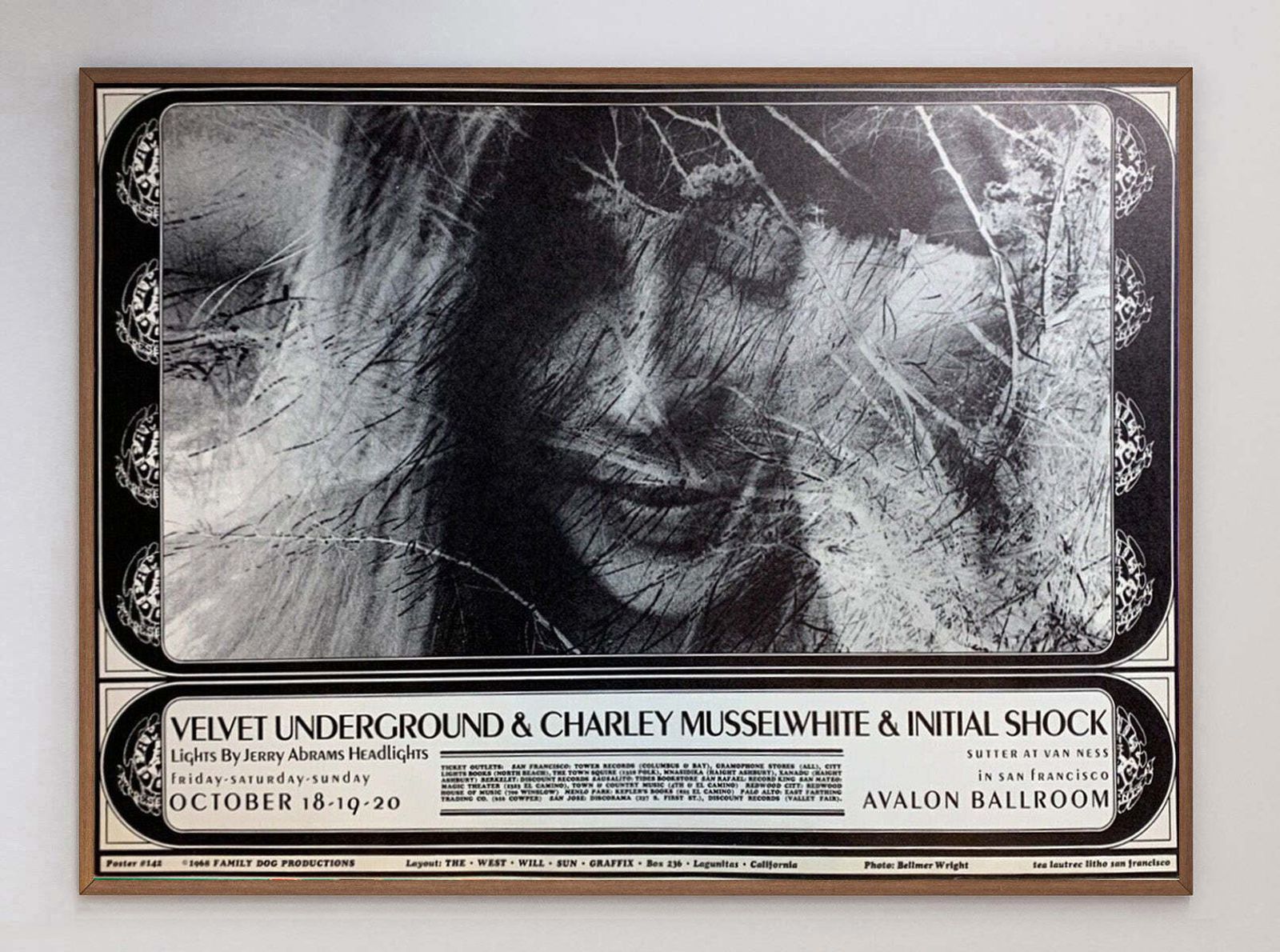 The Velvet Underground   Avalon Ballroom Original Vintage Poster photo 465.0