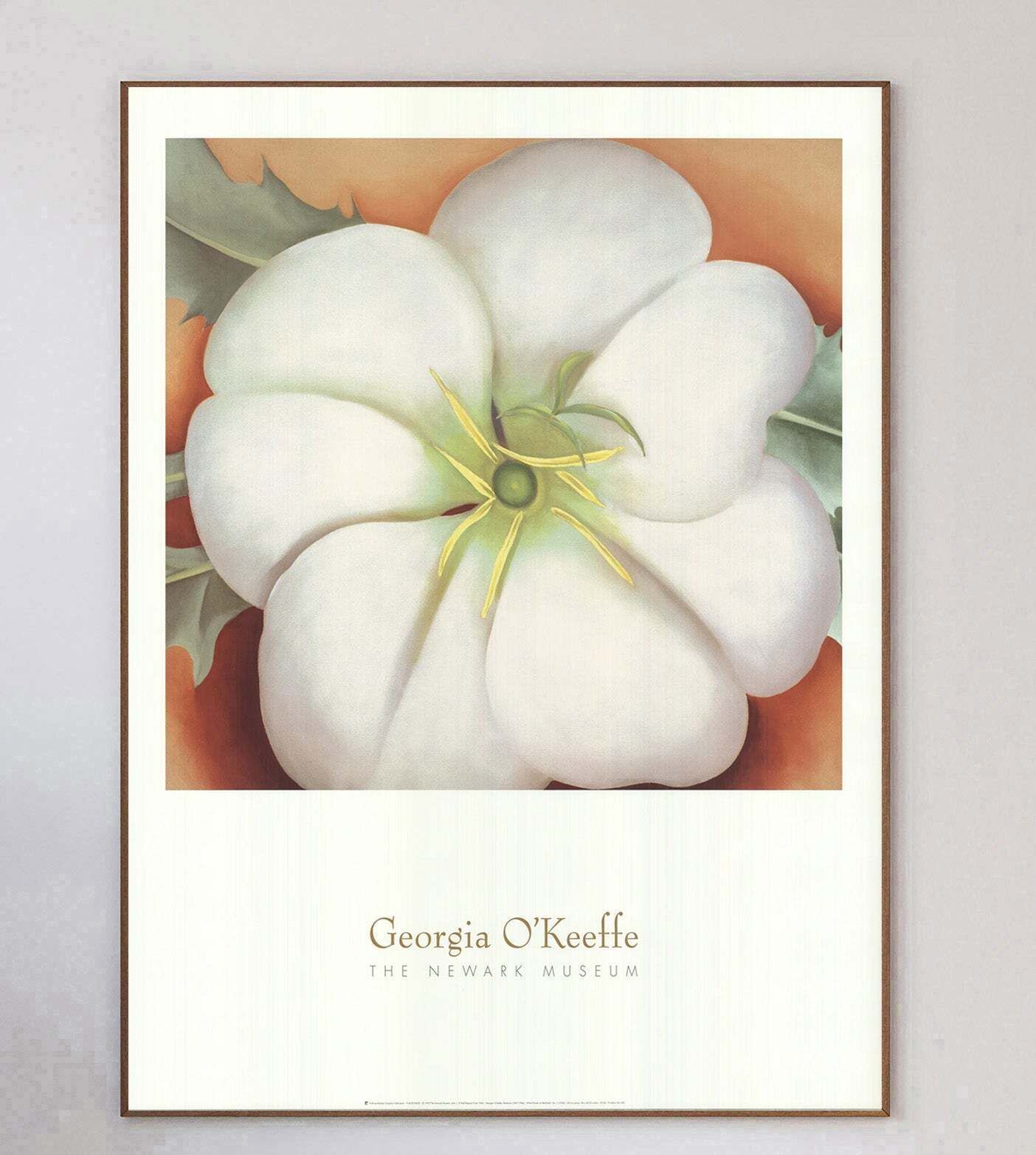 Georgia O'keeffe   The Newark Museum Original Vintage Poster photo 383.0