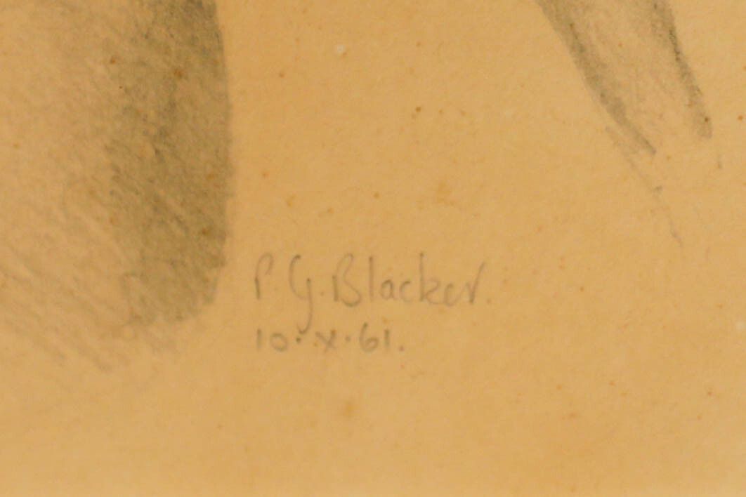 P. G. Blacker 1961 Graphite Drawing, Half Length Study Of The Female Body photo vinterior
