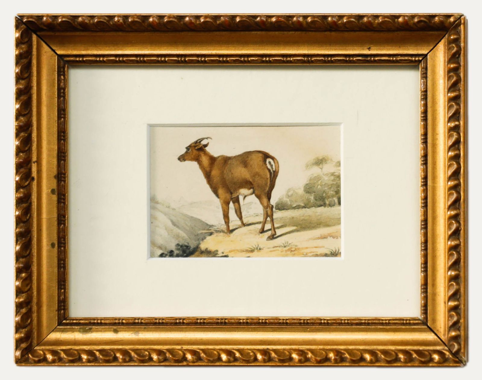 19th Century Watercolour Deer Goat In A Landscape