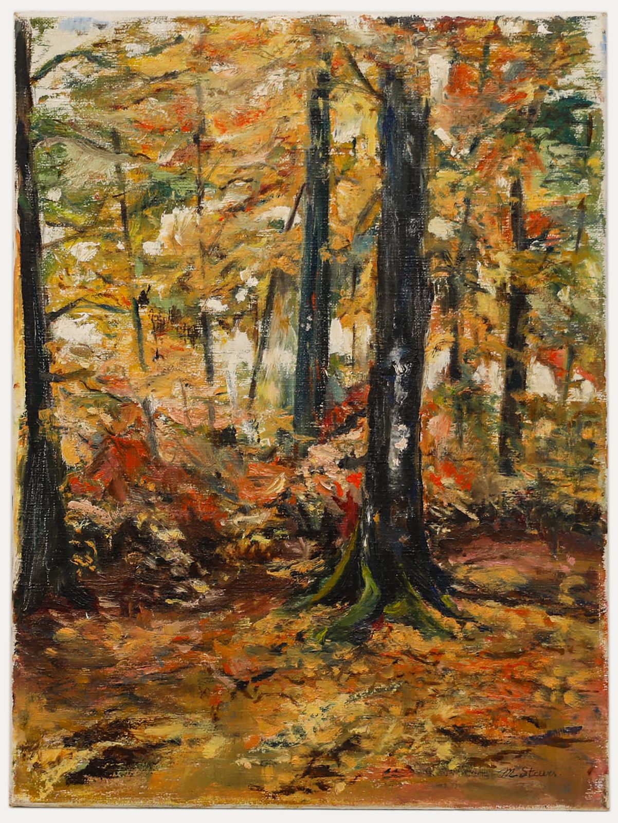 M. Steurs  Contemporary Oil, Autumn Forest