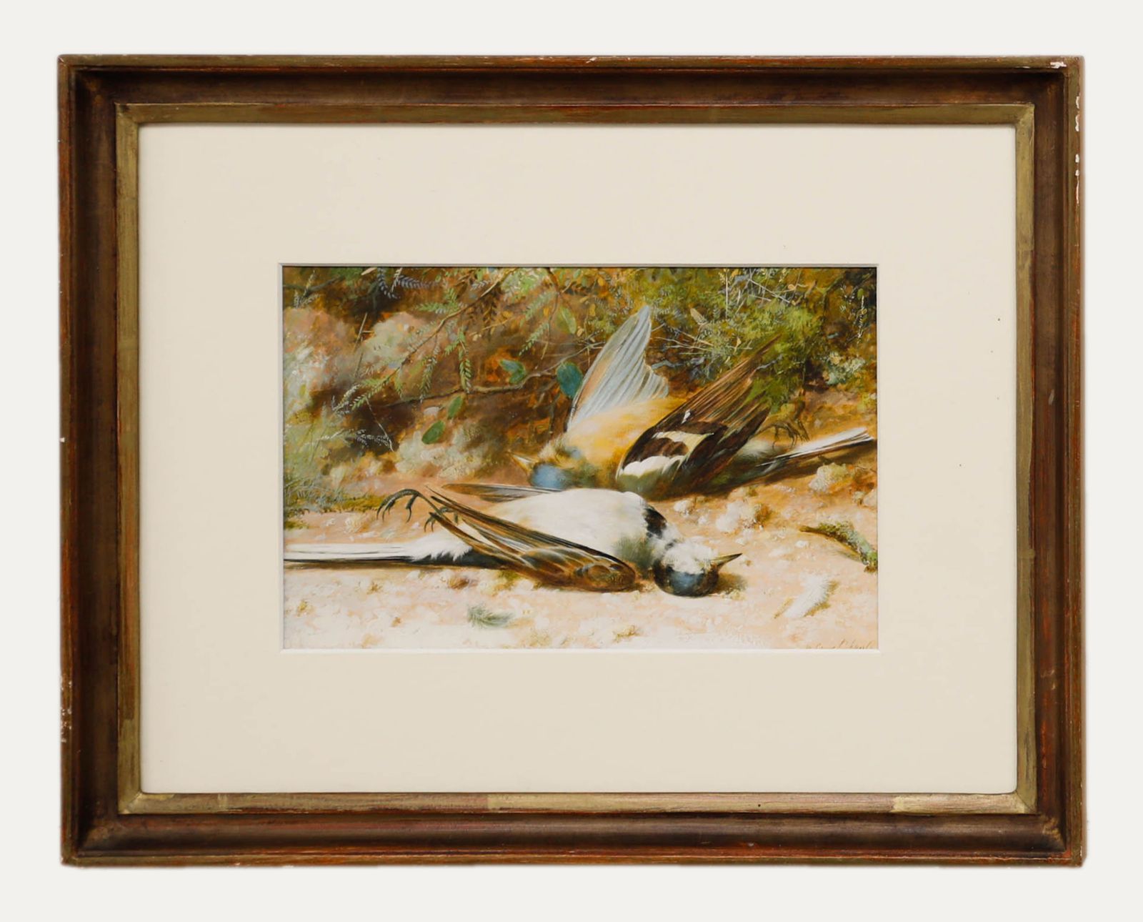William Cruikshank (1848 1922) 19th Century Watercolour, Yellow Wagtails