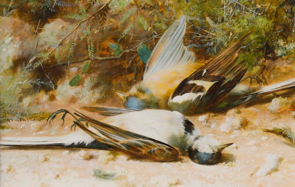 William Cruikshank (1848 1922) 19th Century Watercolour, Yellow Wagtails photo furniture