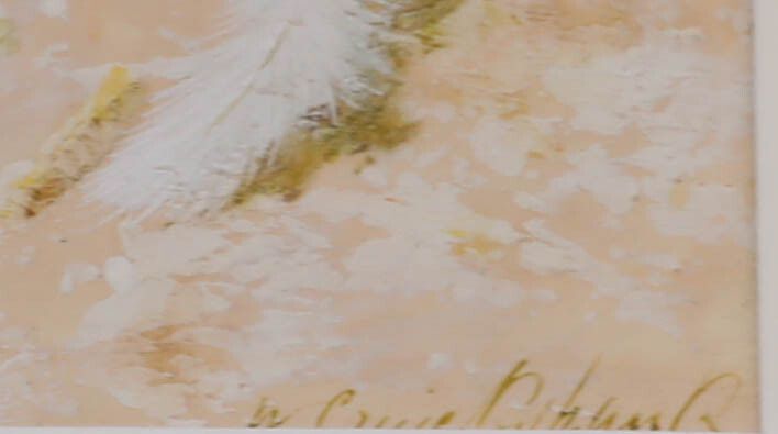 William Cruikshank (1848 1922) 19th Century Watercolour, Yellow Wagtails photo vinterior
