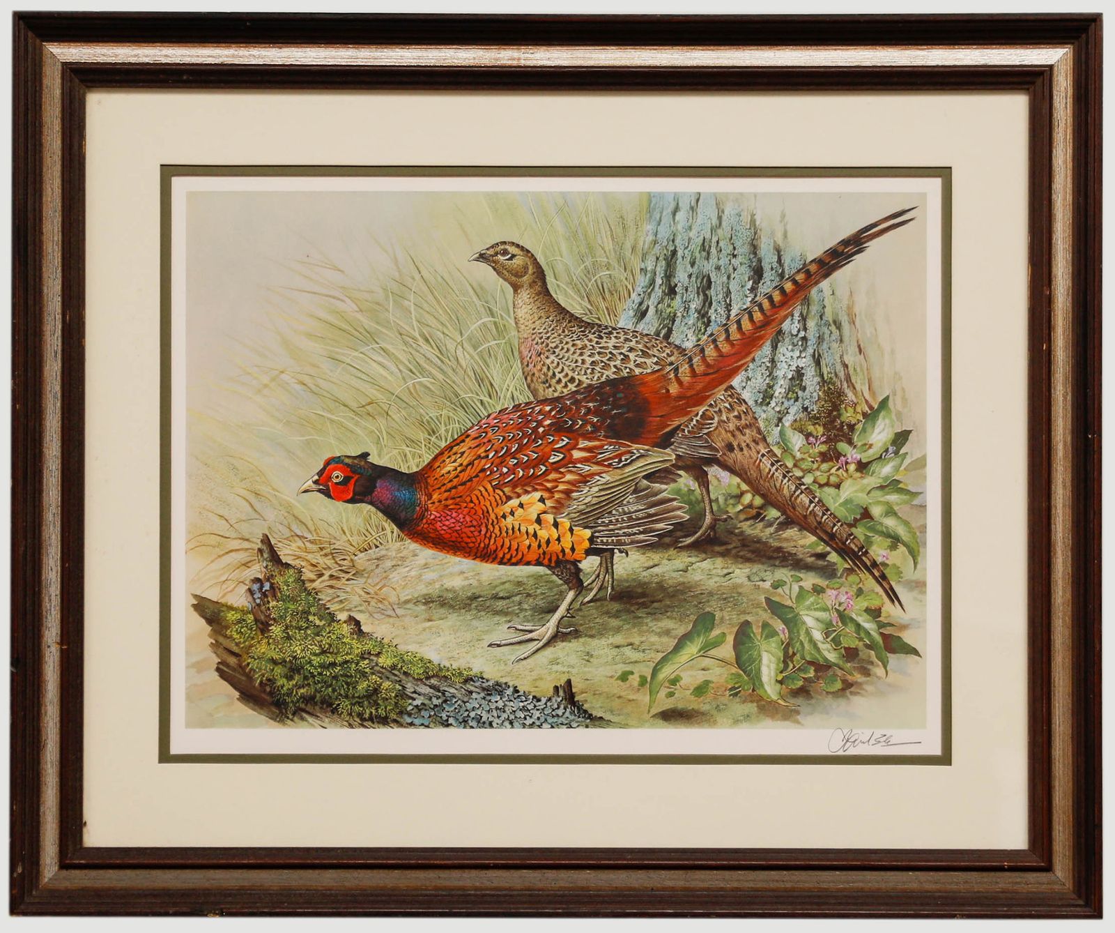 Basil Ede (1931 2016) 20th Century Collotype, Male And Female Pheasant