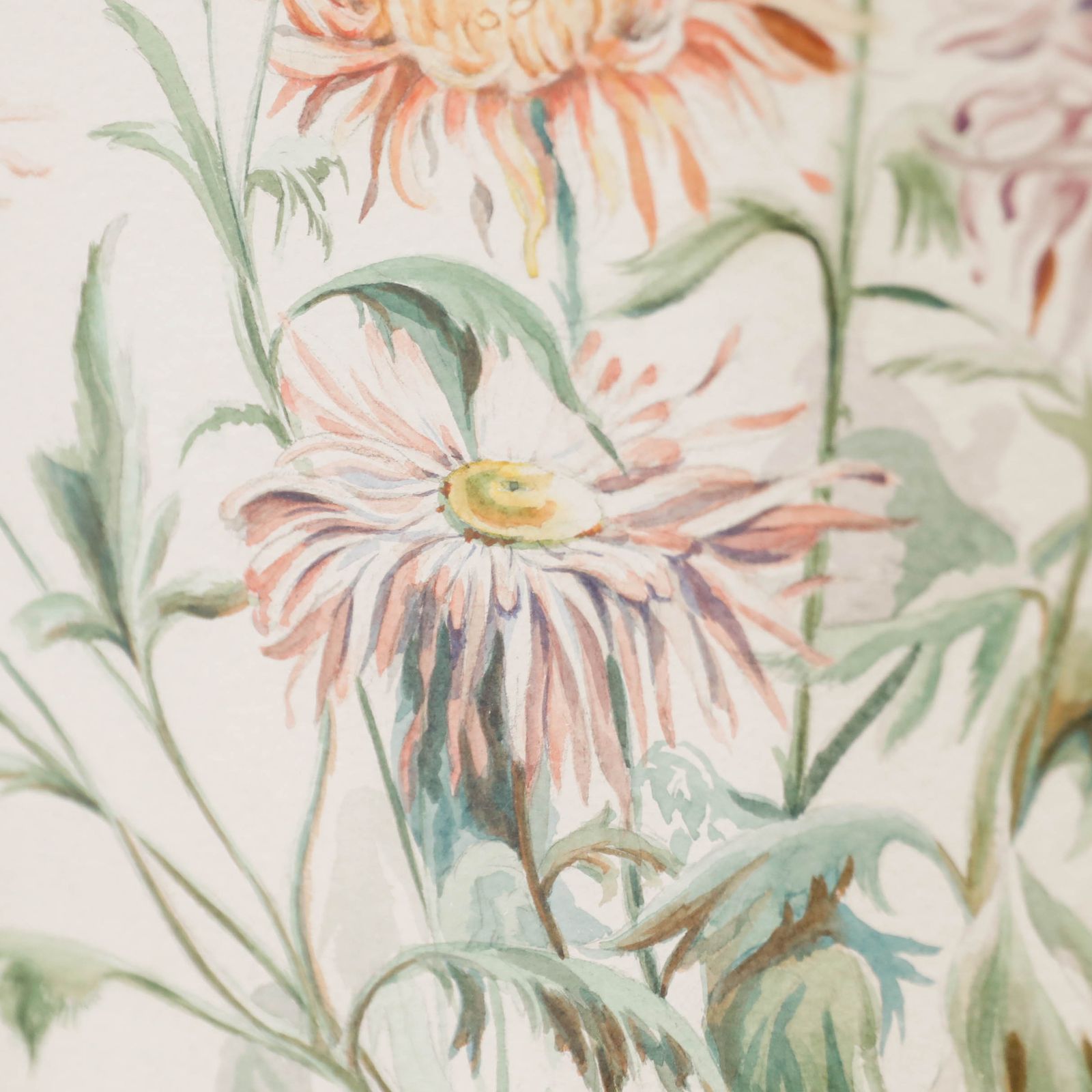 Winifred Barkaway (1915 2010) 1946 Watercolour, Chrysanthemums And Porcelain photo Art