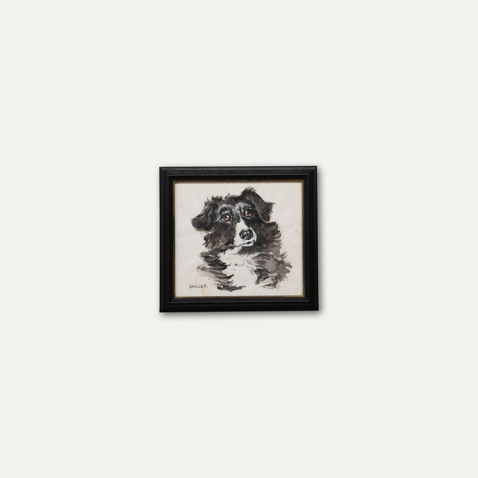 M.A.W Framed 20th Century Watercolour, Quiller The Border Collie photo buy