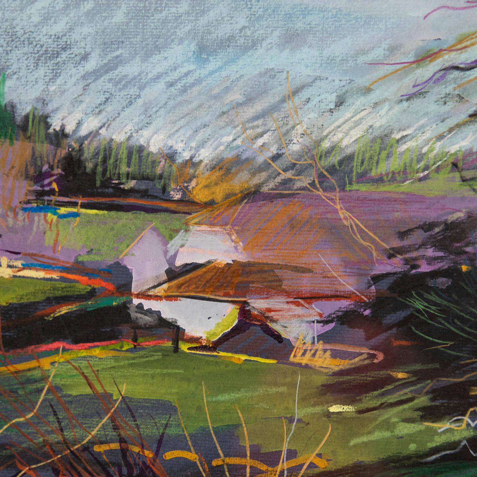 Julia Gascoigne Palmer Framed Contemporary Pastel, Parkland Landscape photo Art