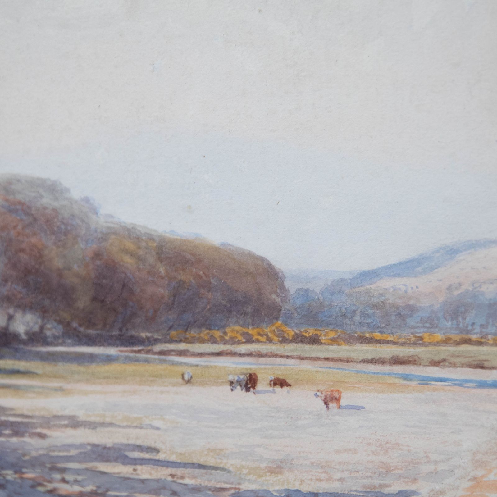 G. M. Linder  Framed Late 19th Century Watercolour, Cattle In The Water Meadow photo Art