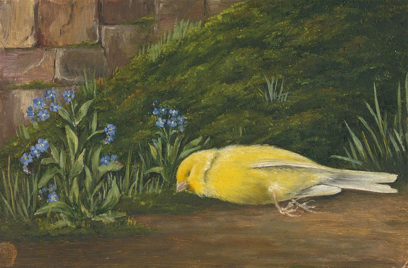 Early 20th Century Oil Canary And Forget Me Nots