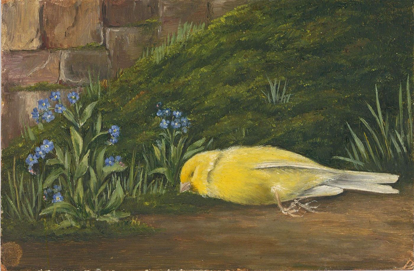 Early 20th Century Oil Canary And Forget Me Nots photo furniture