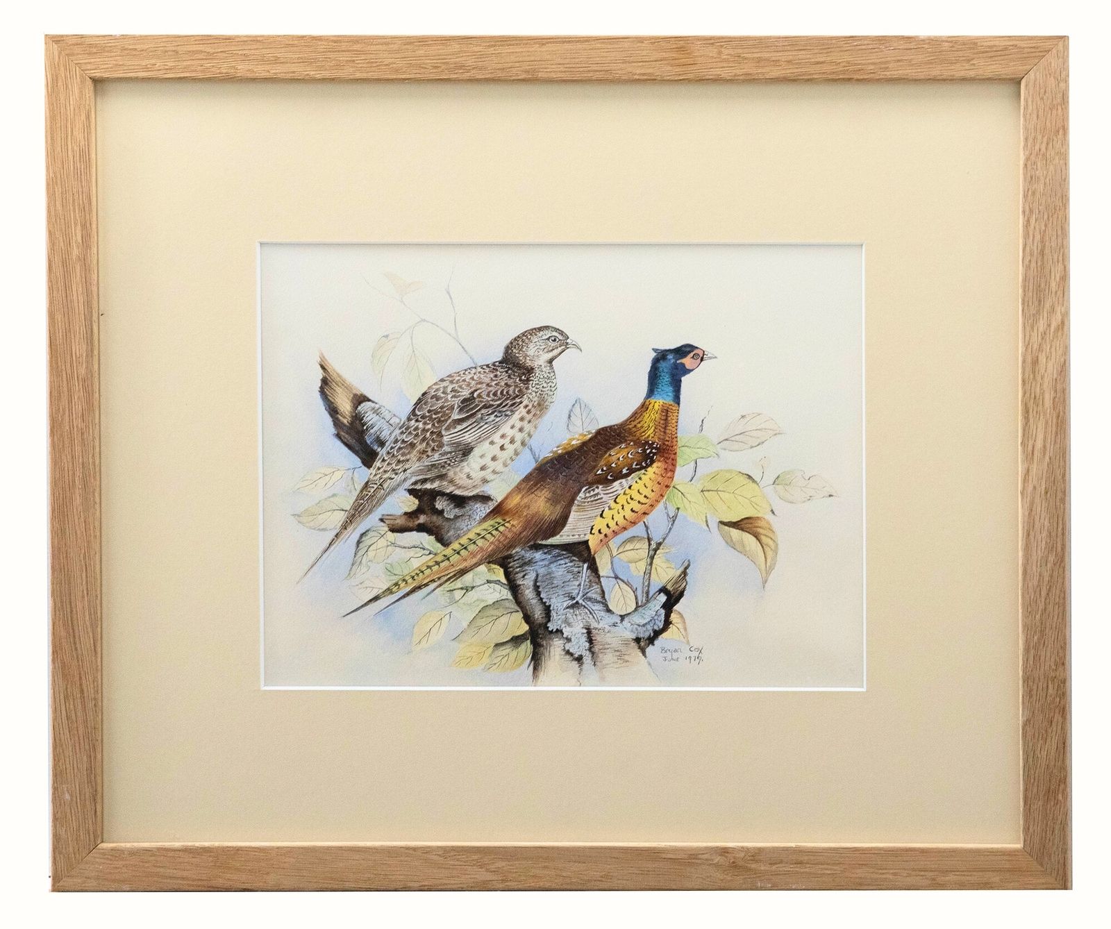 Bryan Cox Framed 20th Century Watercolour, Pheasants Roosting In A Tree