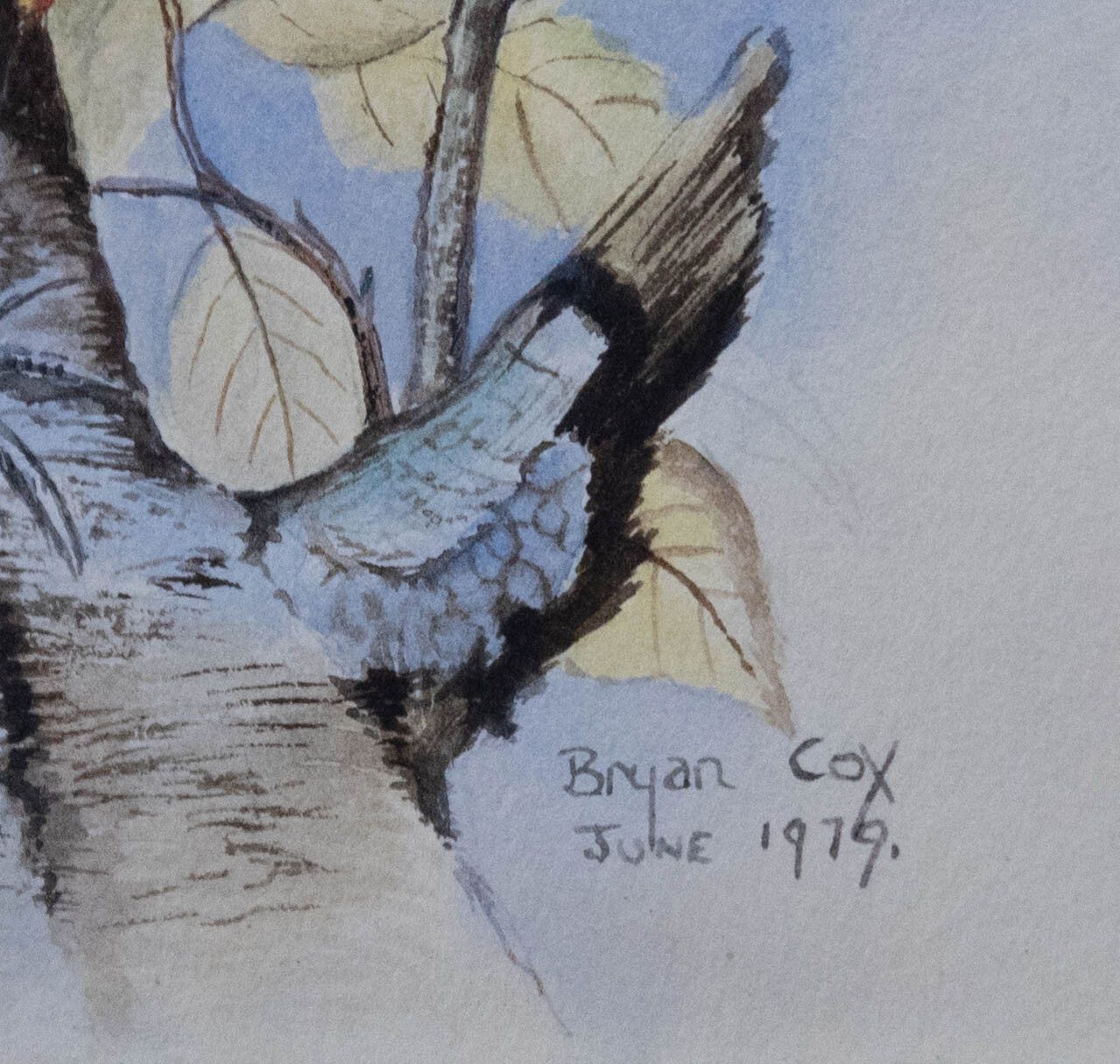 Bryan Cox Framed 20th Century Watercolour, Pheasants Roosting In A Tree photo vinterior