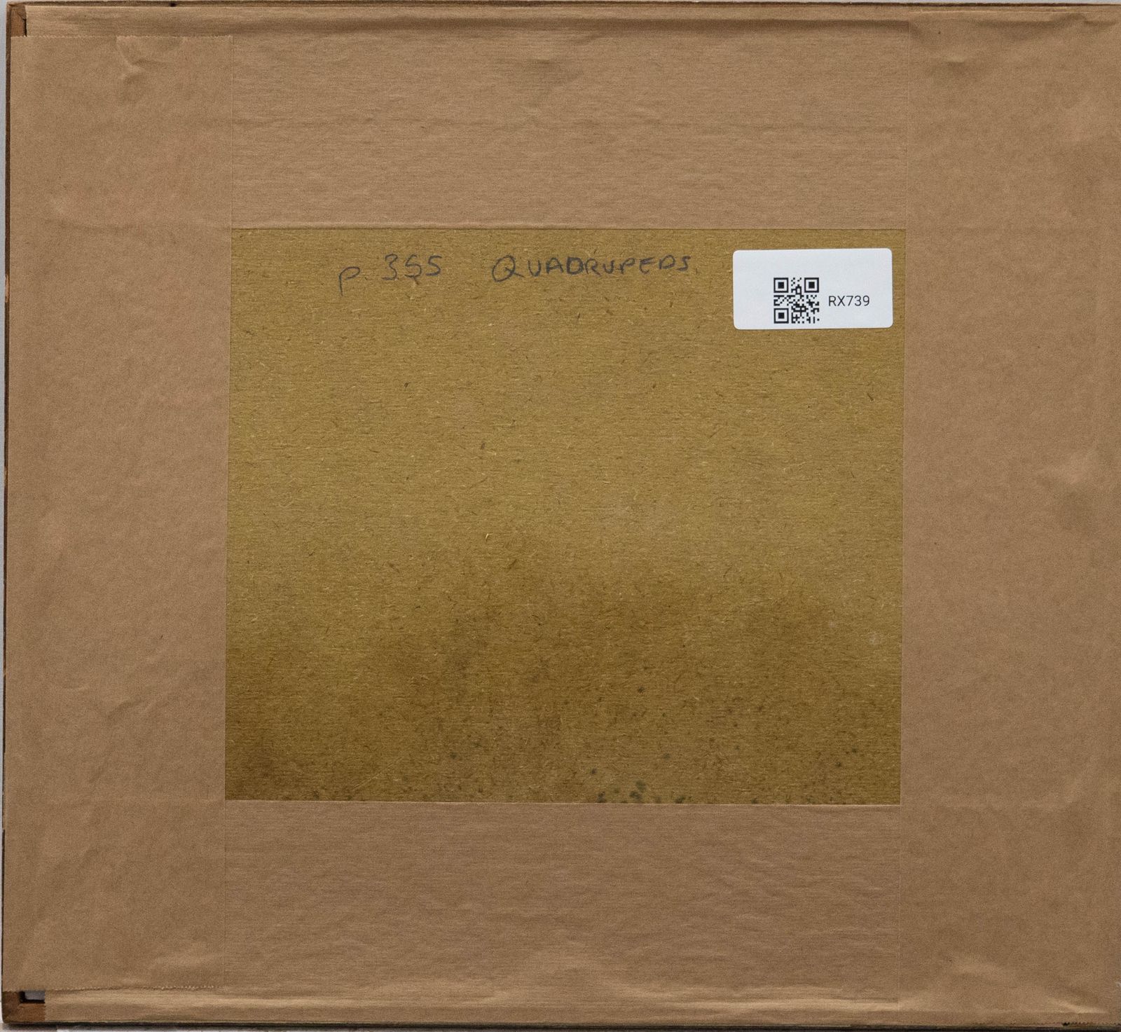 Vivian Bewick (1912 1999) Mid 20th Century Watercolour, Quadrupeds photo for sale