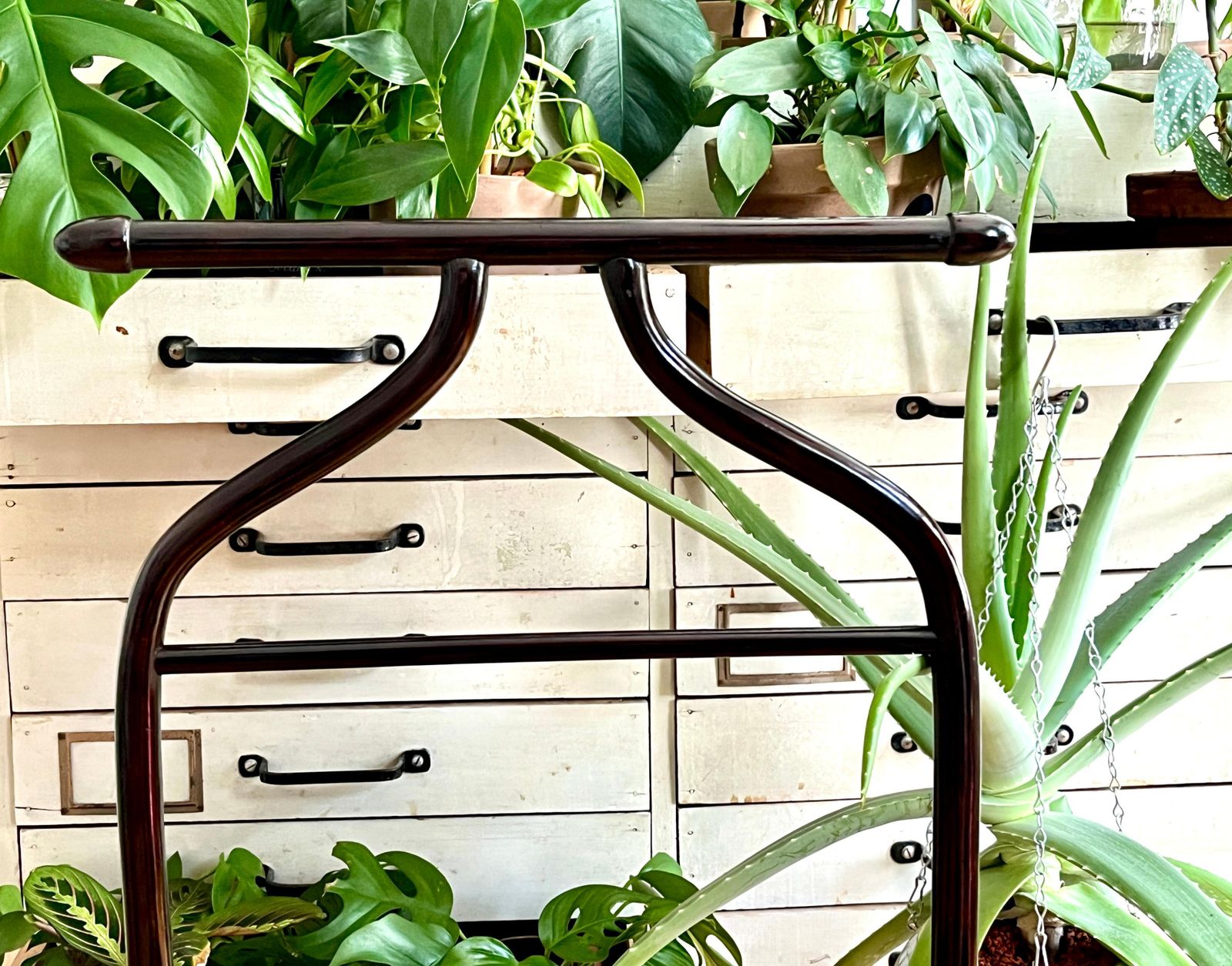 Thonet Vienna Art Deco Bentwood Clothing Valet / Dressing Stand, Austria, 1920s photo for sale