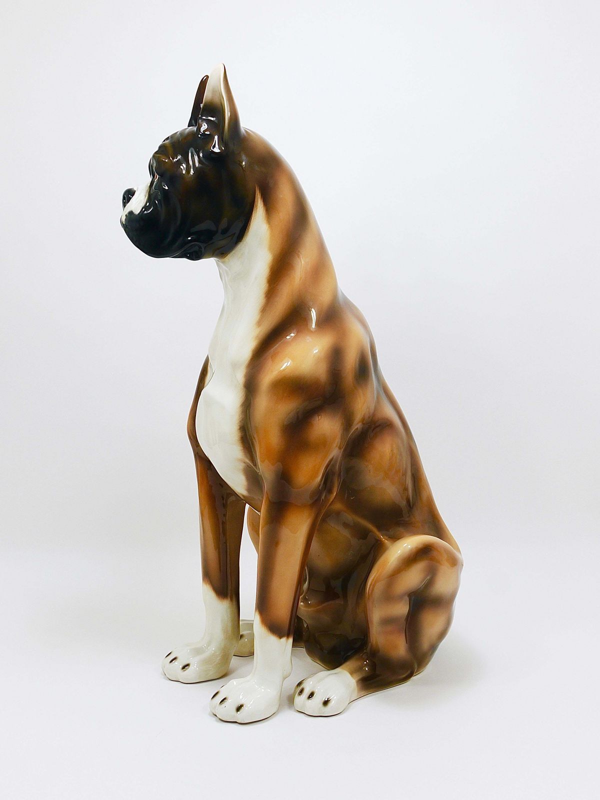 photo vintage Boxer Dog Life Size Majolica Statue Sculpture, Glazed Ceramic, Italy, 1970s